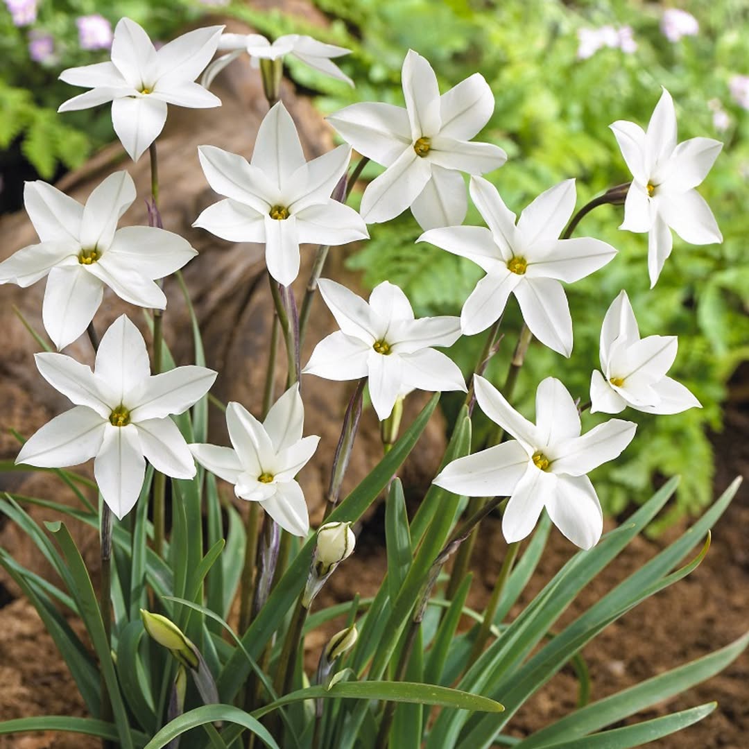 Вдруге я стала мамою в 40 років, тоді моя старша донька мене не зрозуміла. Але вийшло так, що в 19 років вона теж чекала дитину і дуже сподівалася на мою підтримку. Як я втомлювалася не передати словами, добре що хоч на той час мій син вже ходив у садок