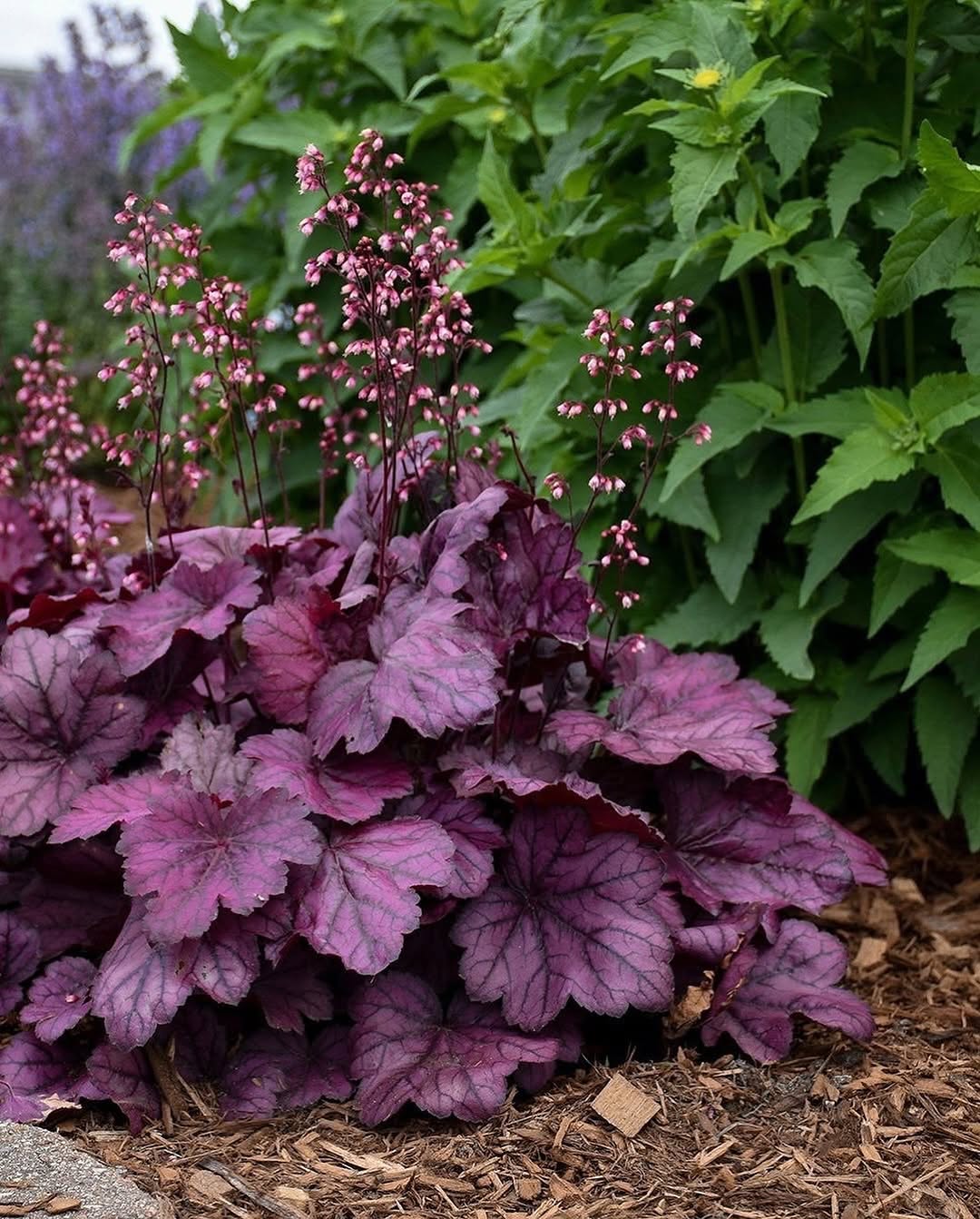 Адже я заповіт написала. На Андрія. Наполіг він, що все синові має бути. Щодня говорив. Як тепер до рідного дому їхати