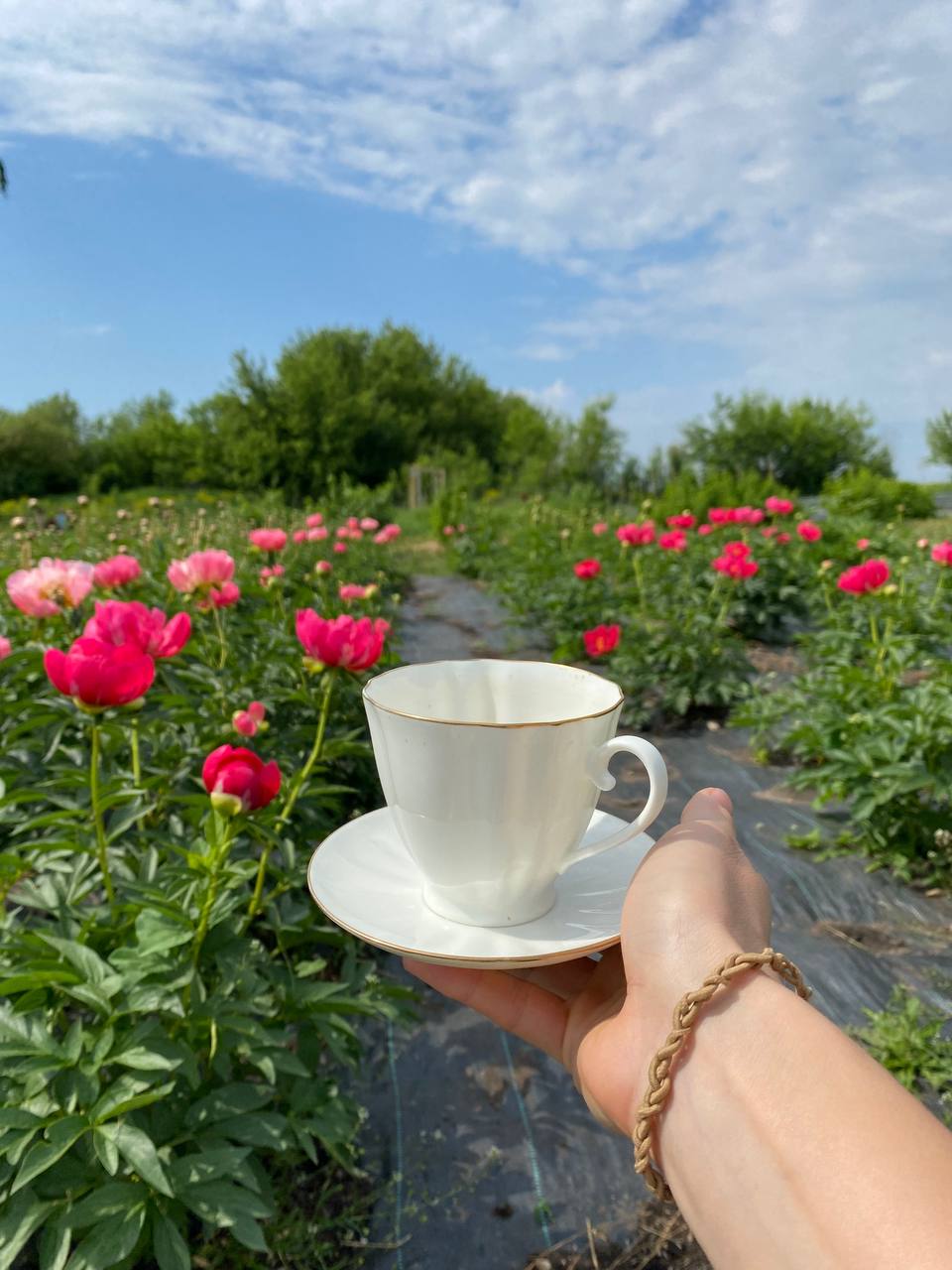 Ми почали дізнаватися у сусідів, чий кіт, звідки він, чому приходить до нас і куди зникає? Але ніхто не знав