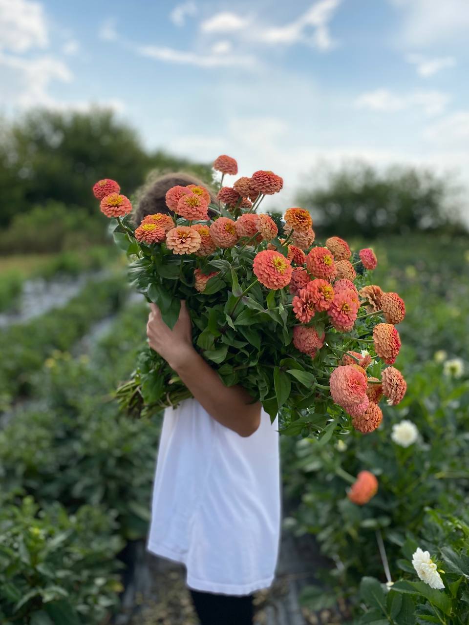 Знаєш, Юро, вона тобі сестра, а я – дружина. І я вже більше не можу дивитися на те, як ти забираєш від наших дітей і несеш все Олені. Юрій і сам розумів, що дружина має рацію, але по-іншому вчинити не міг. Коли сестрі була потрібна допомога, він першим подавав свою руку, і так було завжди, ще з дитинства. – Юро, я не проти, щоб ти допомагав Олені. Але коли щоразу ти береш від нашого сімейного бюджету – це вже не підтримка. Це збитки для нас. – Я все розумію. Але я не можу інакше