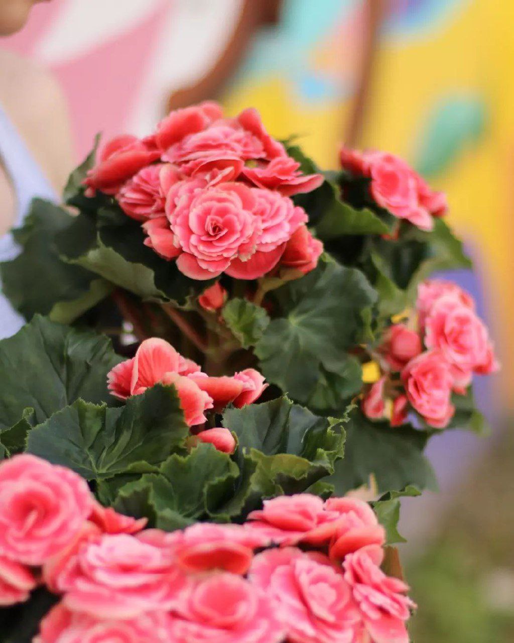 – Слухай, Ліно… Тут мама каструлю нову принесла… – Дай вгадаю. Тепер ми їй винні? – Ще б чек приклеїла на кришку, щоб не забули, – вигукнула дружина. – Напружувати вона починає зі своїми “подарунками”…