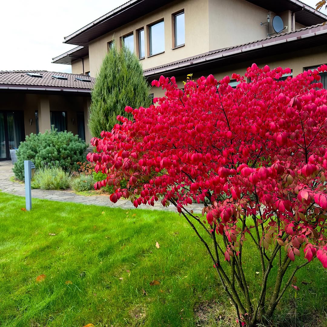 З поставленим завданням Анна справилася – дітей вивчила, хату побудувала, з чоловіком розлучилася. Він таки через рік, як Анна його покинула і поїхала на заробітки, зійшовся з вдовою. Анна загорілася думкою про заробітки, в них вона вбачала вихід з ситуації, що склалася в її житті. І чоловіка, який їй зраджує, бачити не буде, і дітям допоможе. То ж, виробивши необхідні документи, виїхала в Італію