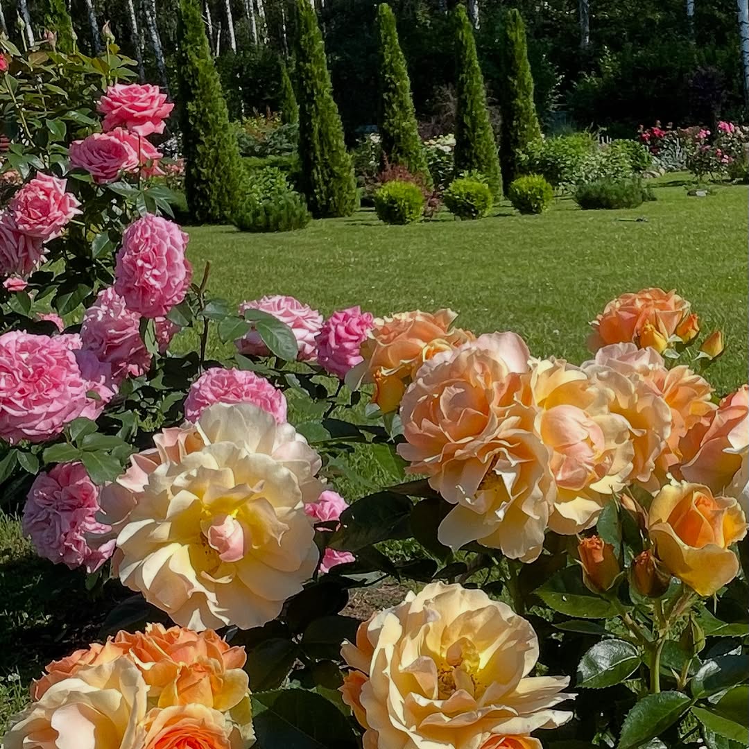 Коли я сказала, що мені потрібні нові джинси для прогулянок з сином, чоловік відповів, що я можу піти в магазин секонд-хенду і щось собі там вибрати. А ще краще, носити старі штани, мовляв, нема чого витрачатися. У моєму розпорядженні тільки моя зарплата. Микола з своєю мамою закриваються в кімнаті і обговорюють бюджет нашої сім’ї, а зі мною ніхто не радиться