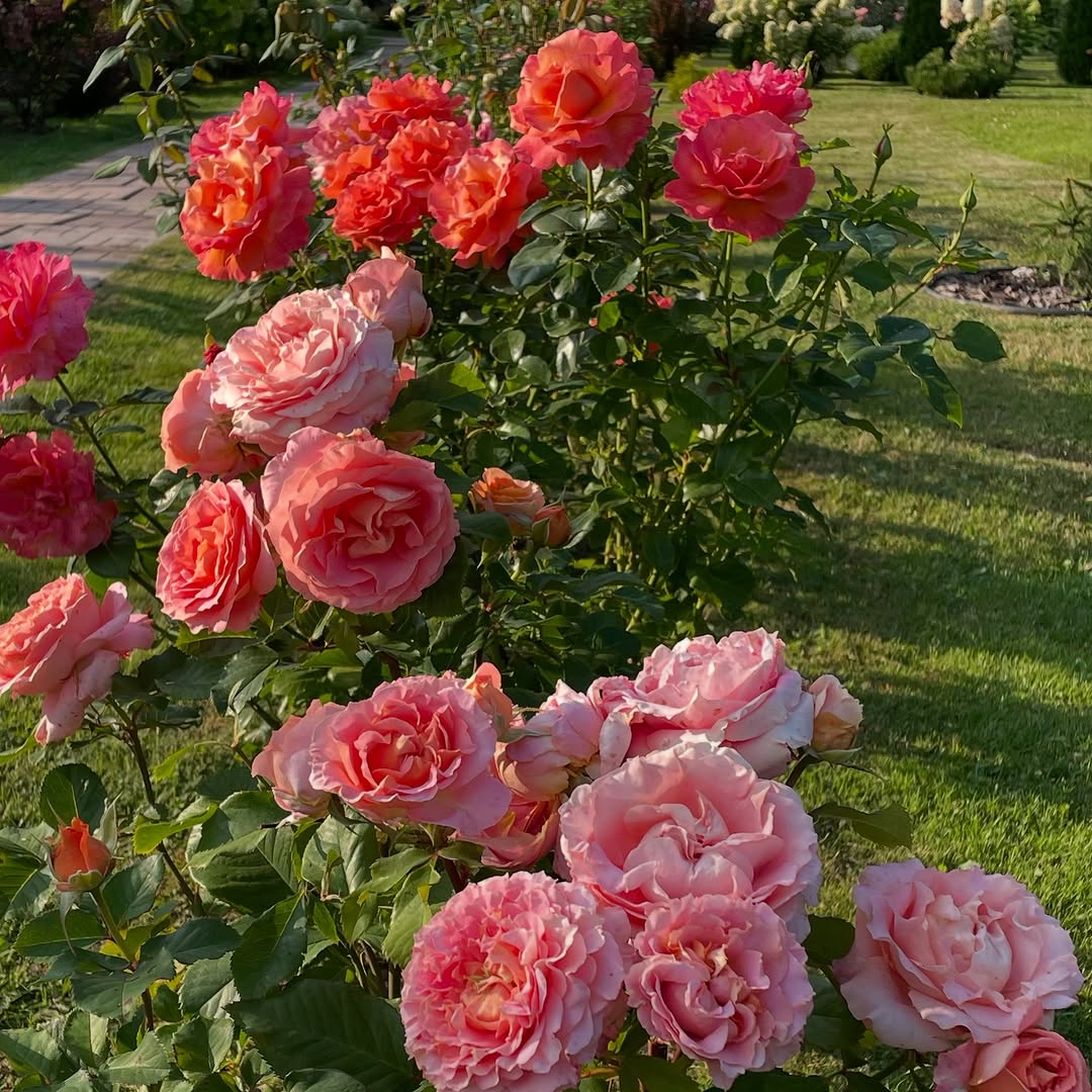 Якось у мене закінчилися гроші, а я була в іншому місті. В гаманці не було ні копійки і я набрала чоловіка з проханням перекинути мені пару сотень на карту. На що мій чоловік відповів: “У тебе є батьки, нехай вони тобі допомагають!” А коли я приїхала додому, його речей вже не було. Лише згодом я дізналася всю правду