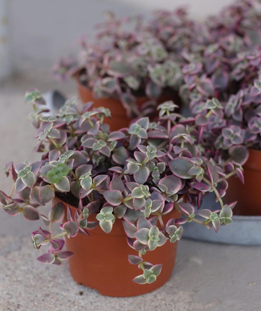 -Я дивлюся, Віка у вас тут як тваринка живе. Ви її й годуєте відповідно. А в чому винна дитина? У тому, що ти загуляв від дружини? Хоча я тепер розумію чому!