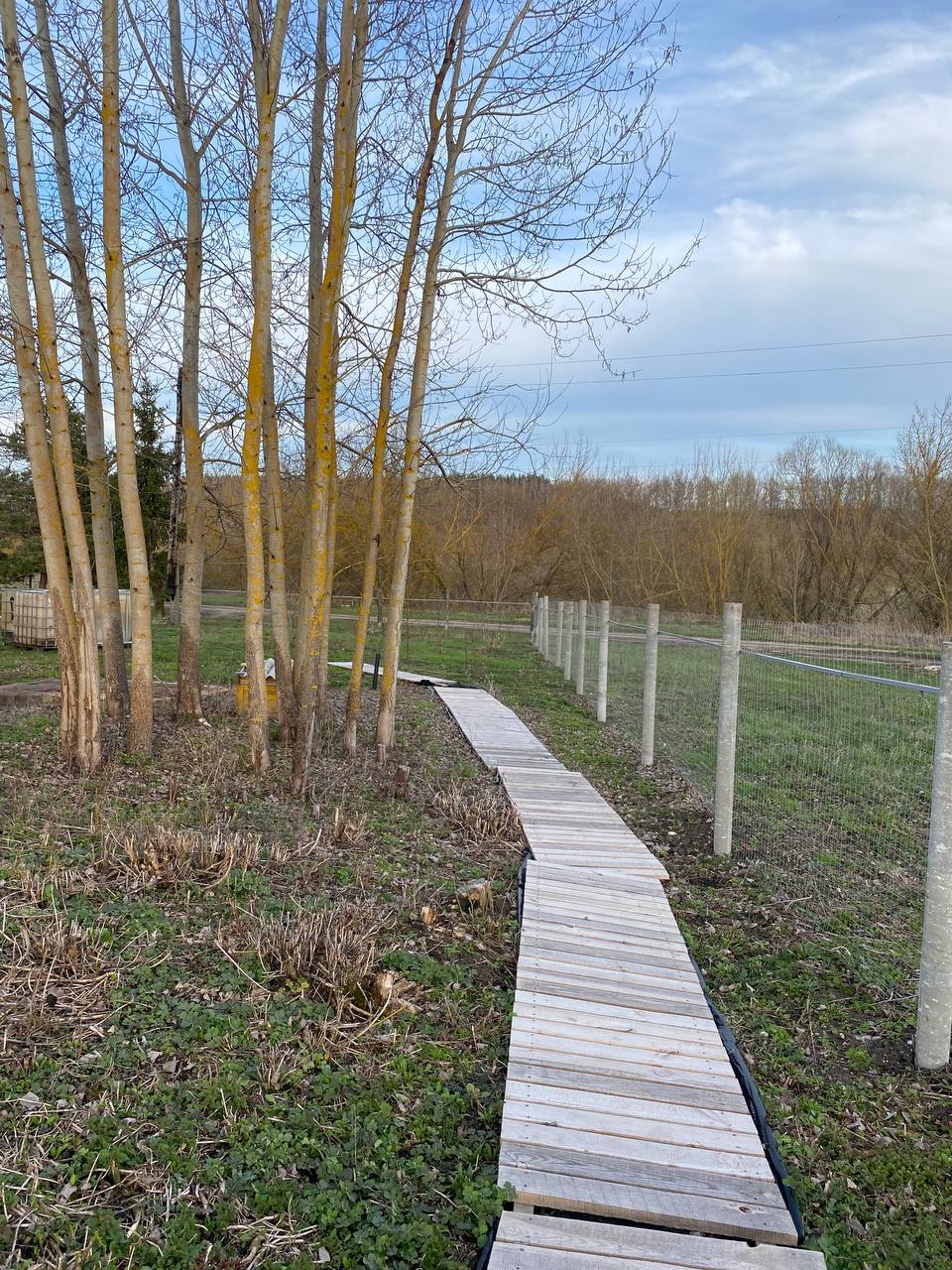 — Ой, а що за симпатичний юнак? Людо, це що, твій синок? Ну треба ж, який гарненький… І розумний, погляд такий серйозний… Знаєш, Людо, у мене до тебе буде серйозна розмова. Зайди до мене в кабінет за нагоди