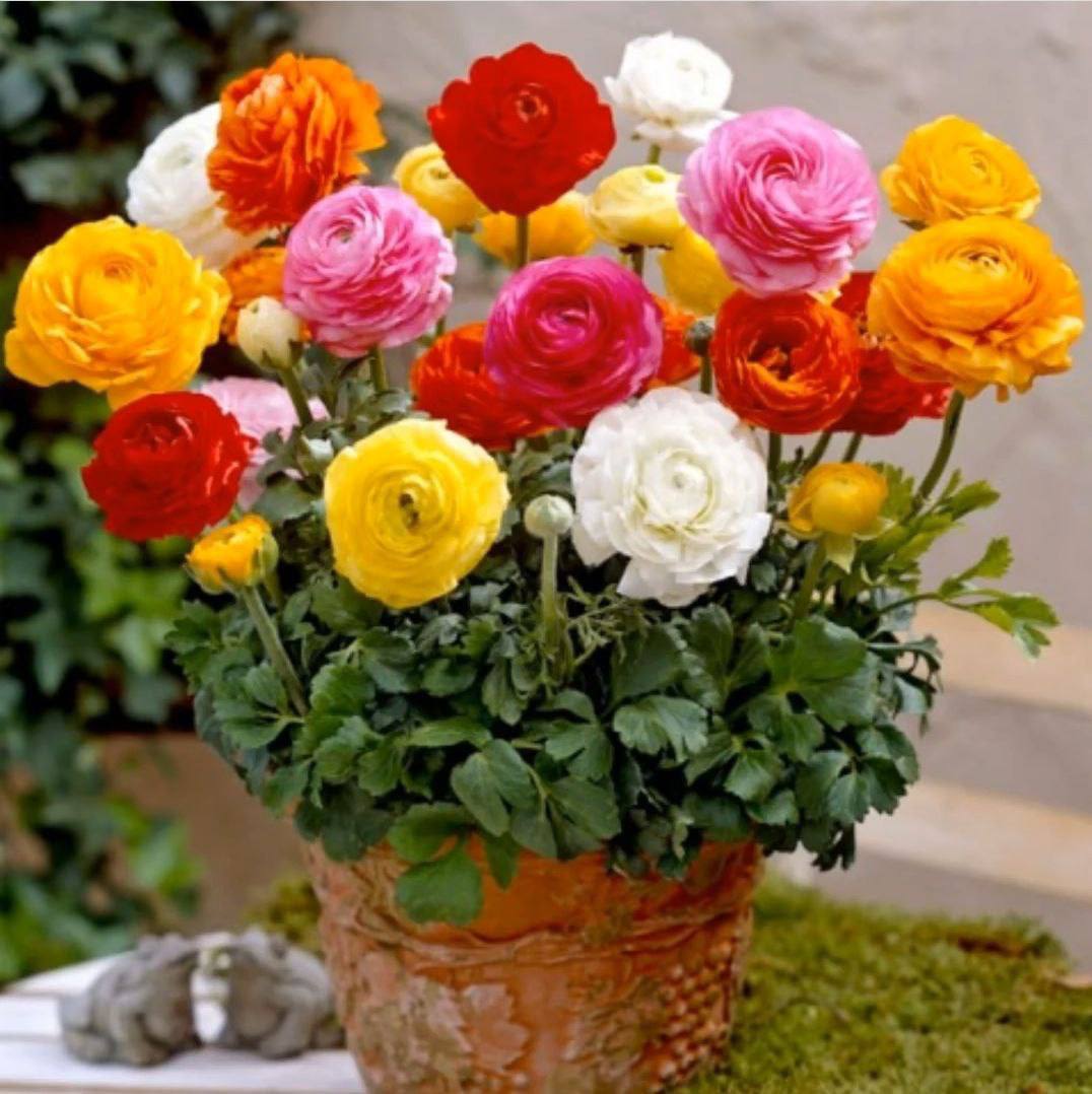 – Ви? А що ж ви без попередження прилетіли? Зачекайте, у мене не прибрано