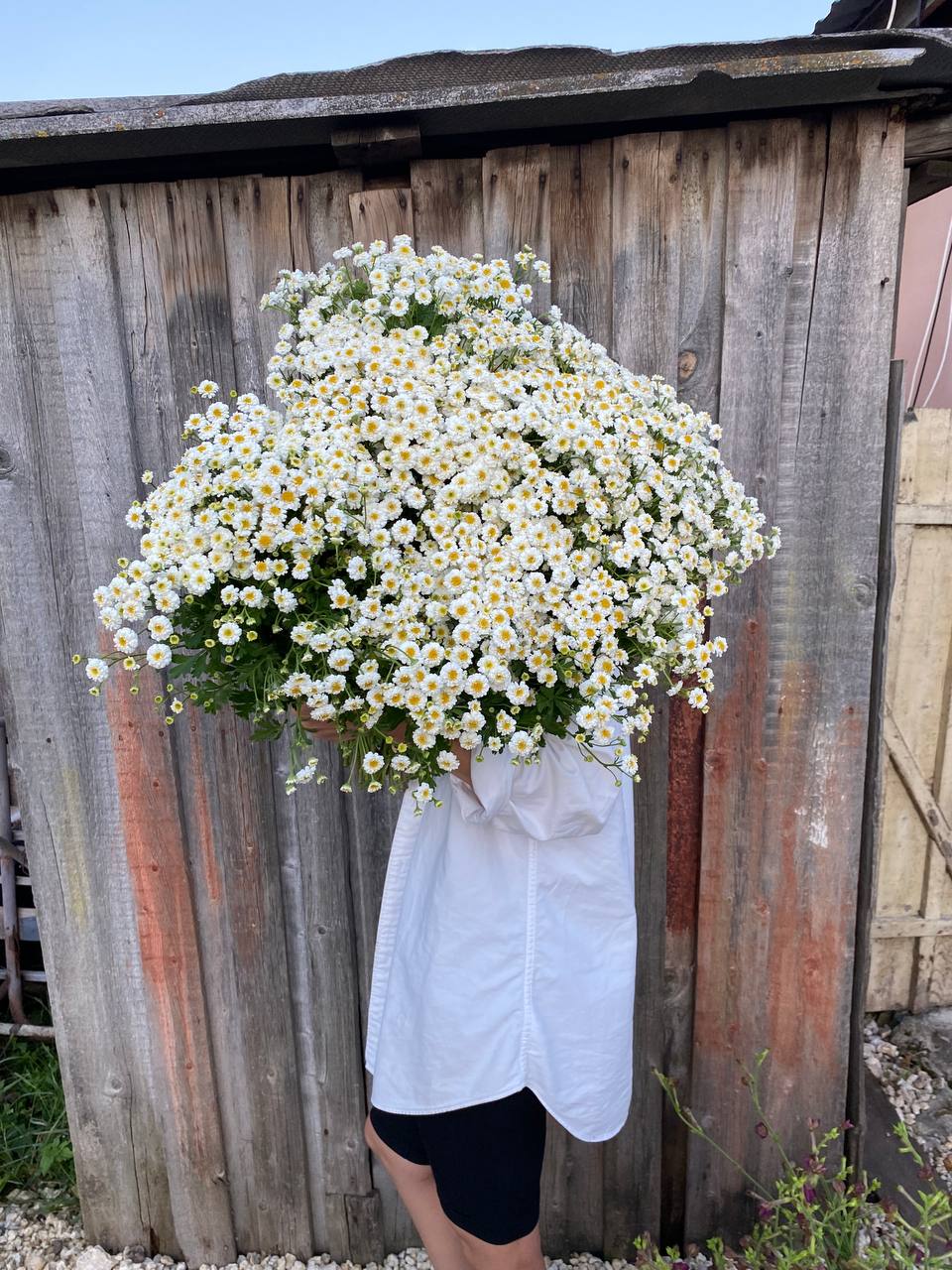 – До нас моя сестра Ганна з родиною на якийсь час переїде, – ошелешив дружину Савелій