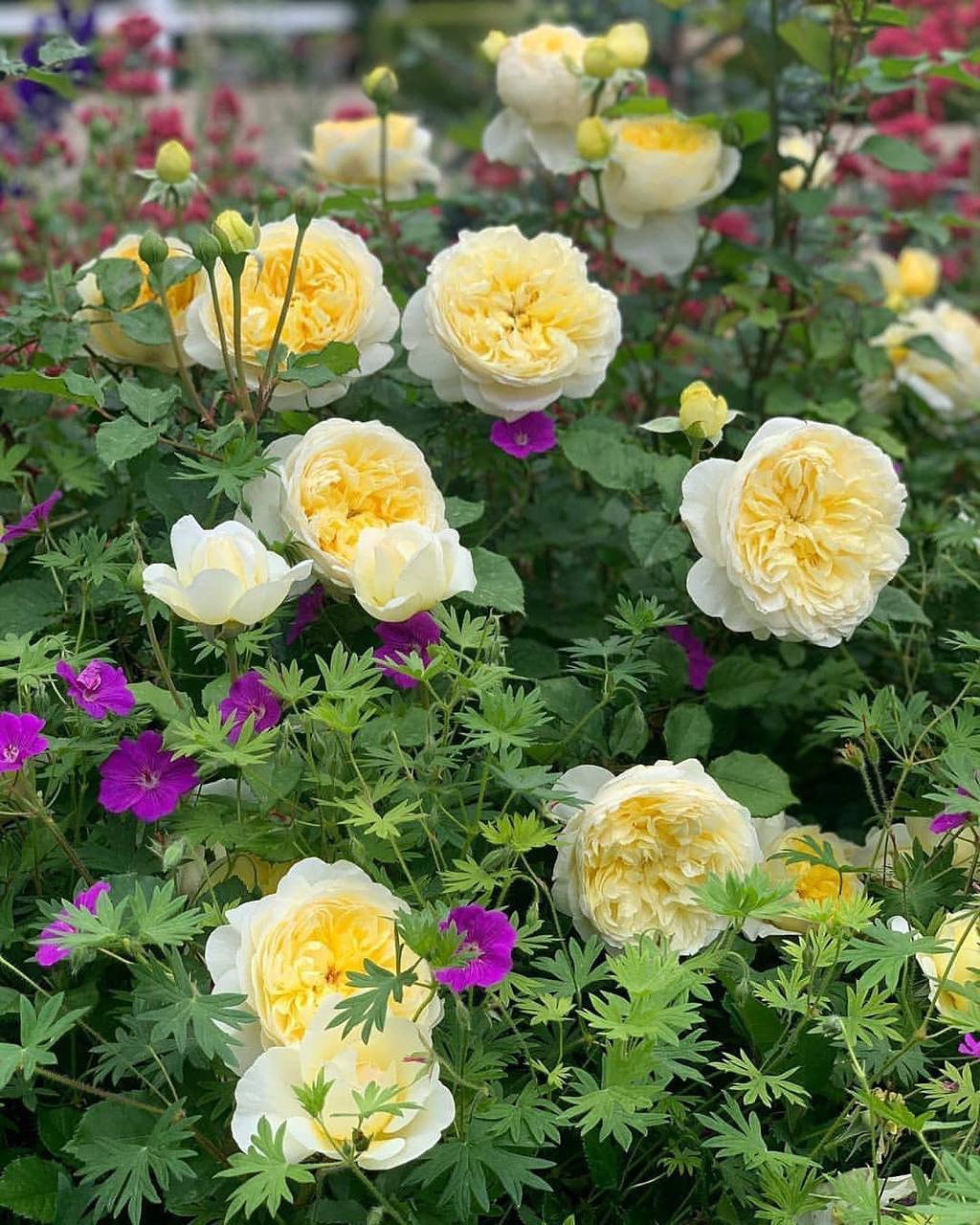 – Ось такі в них справи, любий. Еля тобі дочка, хочемо ми цього чи ні. І нам потрібно вирішити, що тепер робити з цією інформацією. І чи зможемо ми далі жити спокійно, знаючи, що не допомогли сестрі наших із тобою дітей. Подумай про це