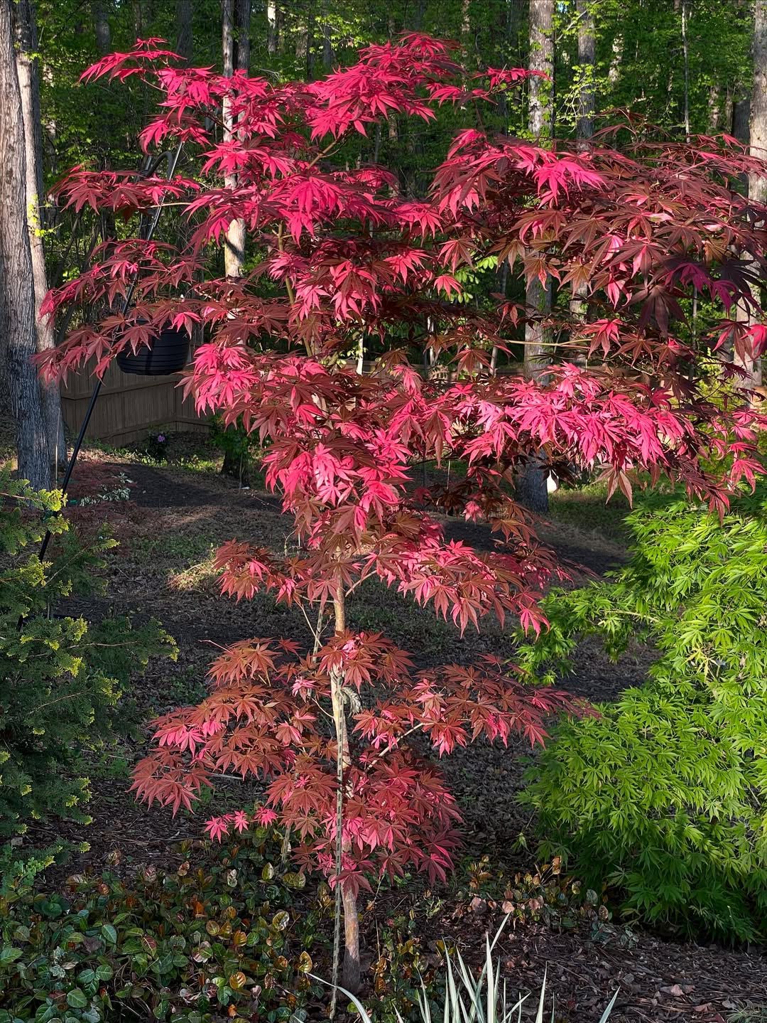 — Я подарувала вам золото, а ви мені — це? Хіба це справедливо? — обурилася невістка