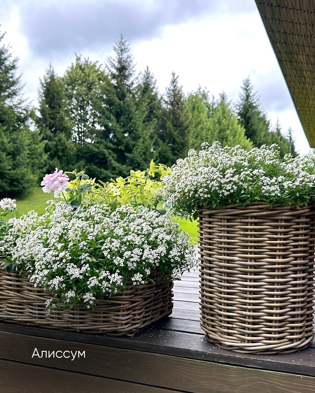 – Розумієш, про що я? Це не дружба. Це споживацьке ставлення. І те, що вони образилися на просте прохання скинутися на свято – найкраще тому підтвердження