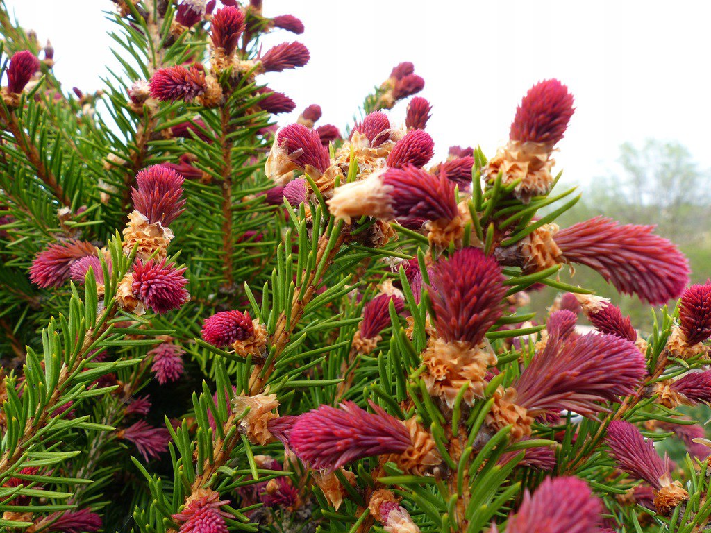 Таня приїхала знайомитися з майбутньою свекрухою, але навіть не здогадувалася, що на неї чекає сюрприз