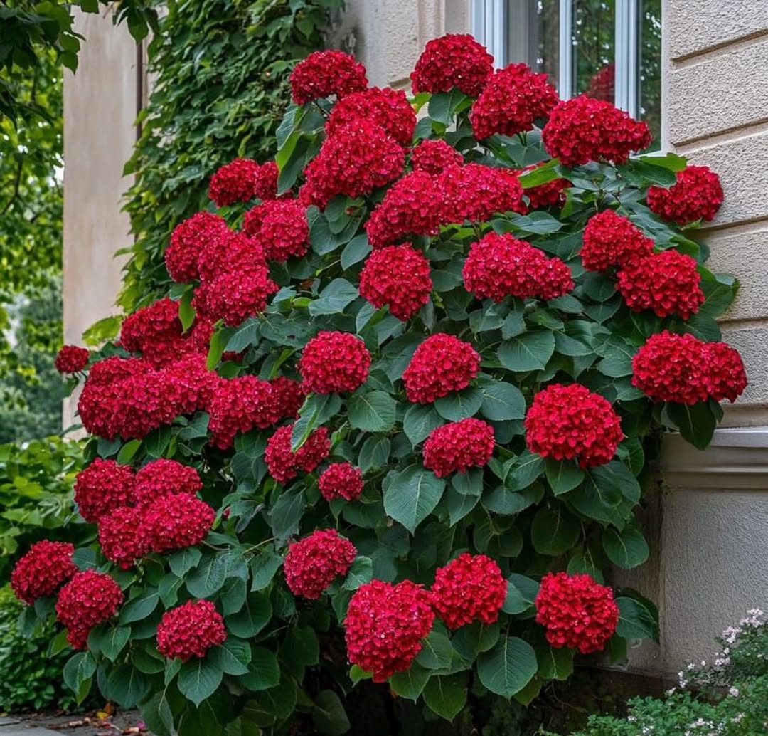 У Тетяни не було дітей. Лікар прямо сказав: ніколи не зможеш народити