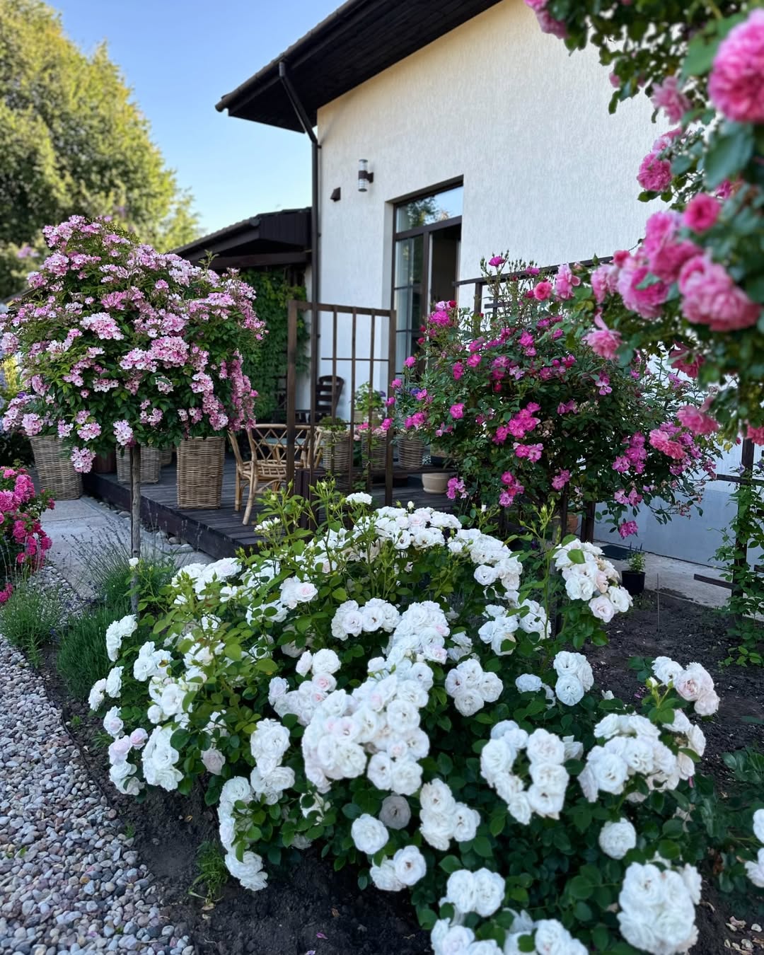 – Скажіть правду, мамо! – взмолився зять. – Ми ж багато років разом, хіба я не заслужив знати причину? Адже я кохаю вашу доньку. Теща зупинилася, задумливо насупилася, а потім сказала
