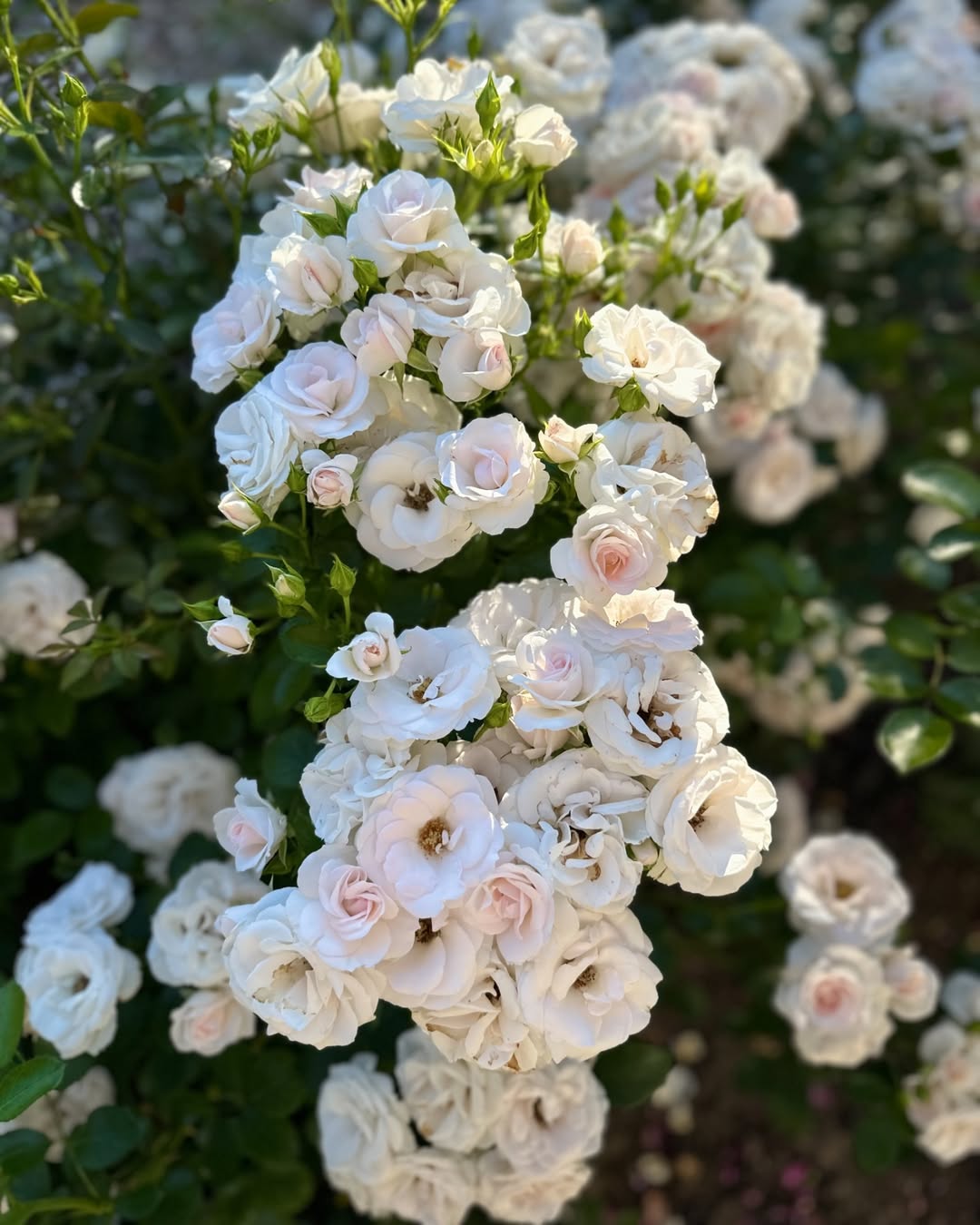 – Ти як без чоловіка живеш! – розсердилася Свєтка. – Він у тебе, що косорукий? Давно треба було ліжечко купити і зібрати вже пора