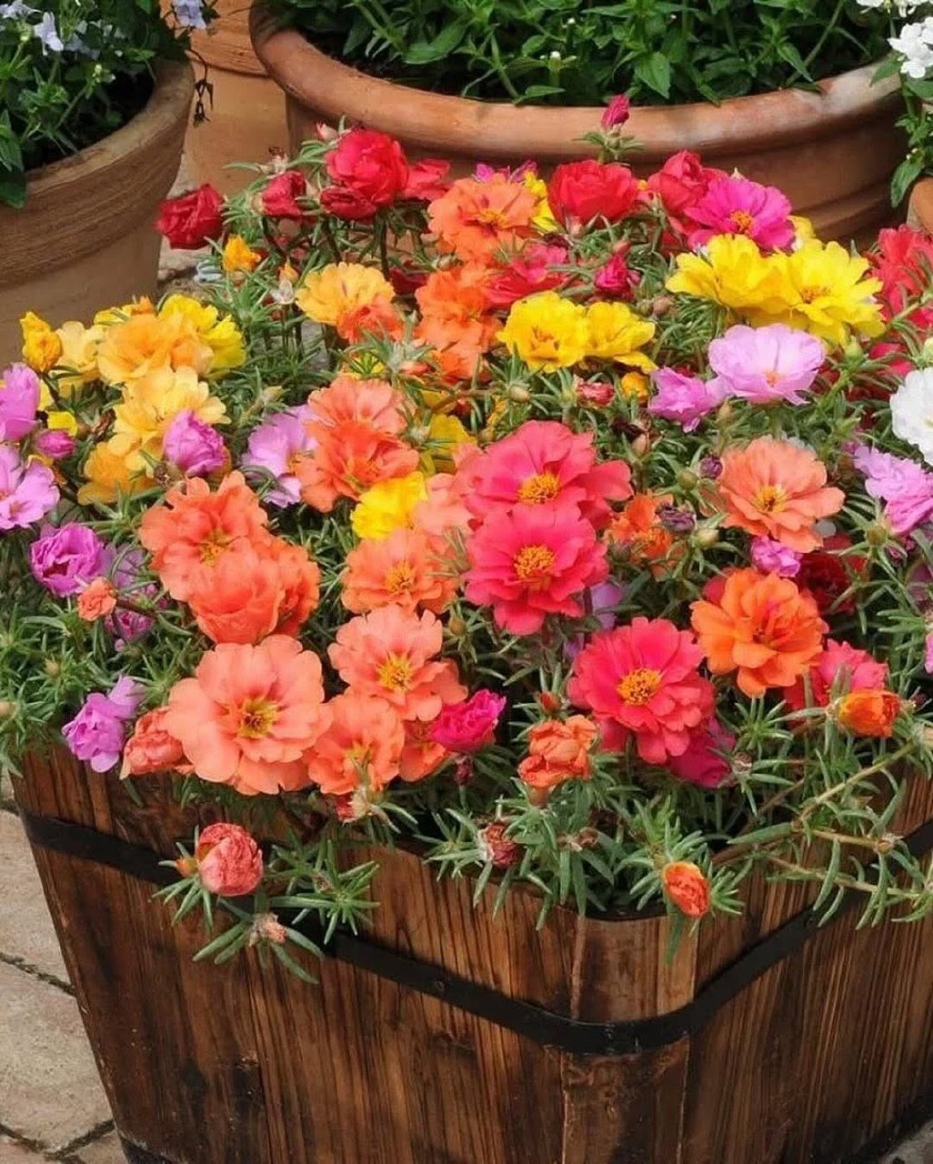 – Не смій зачиняти переді мною двері, невдячна! Хіба я не заслужила, бодай крапельки поваги? – Репетувала свекруха