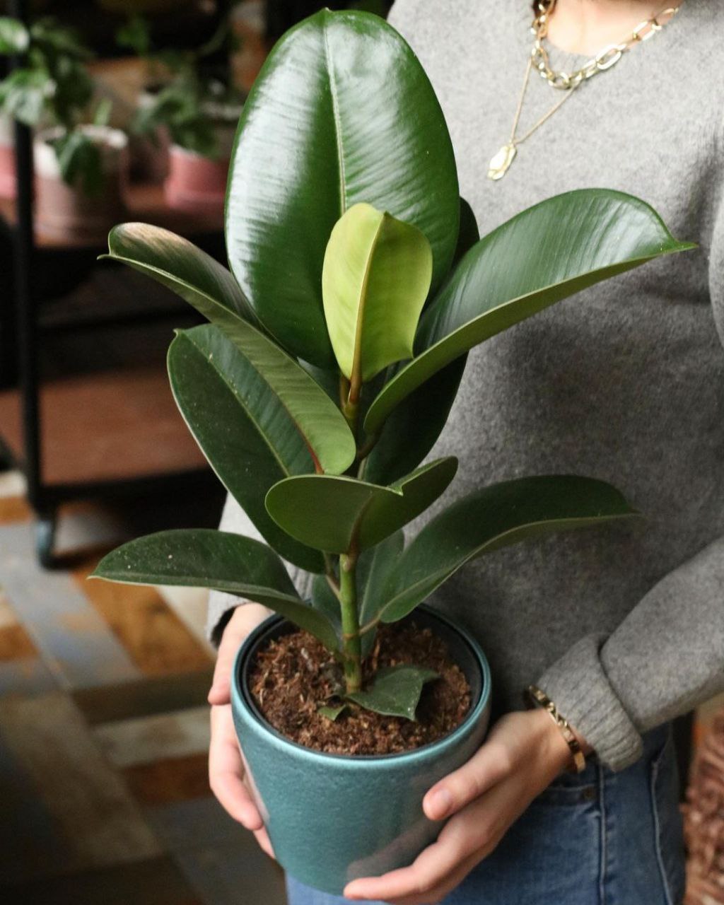 — Ти привела на світ чотирьох дітей? Забирай їх і викручуйся сама, це вже занадто! — заявив мені чоловік, щойно переступив поріг