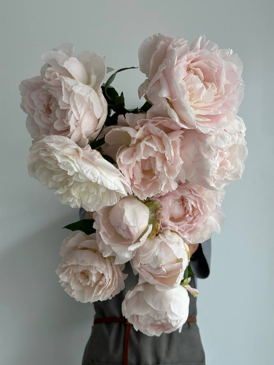 Мамо, повертайся додому! – просила донька Оксану. – Не можу ще, доню. Я знайду нову роботу. Хата наша потребує ремонту. Ще трохи, люба. Вона знайшла іншу родину. Цього разу – бабусю і дідуся, що навчили Оксану варити пасту й каву по-італійськи. І хоч було легше, та в серці була пустка. Оксана прокидалась серед ночі від снів, де Настуся вже доросла, чужа, де вона не знала маминої руки, де донька не впізнавала її голос