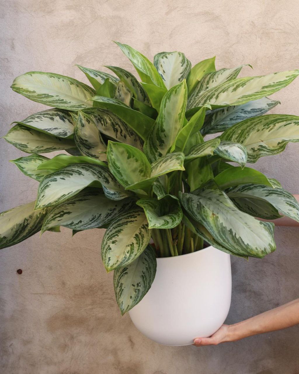 Замість щастя вона отримала розлучення, замість міцних сімейних уз вона залишилася сама