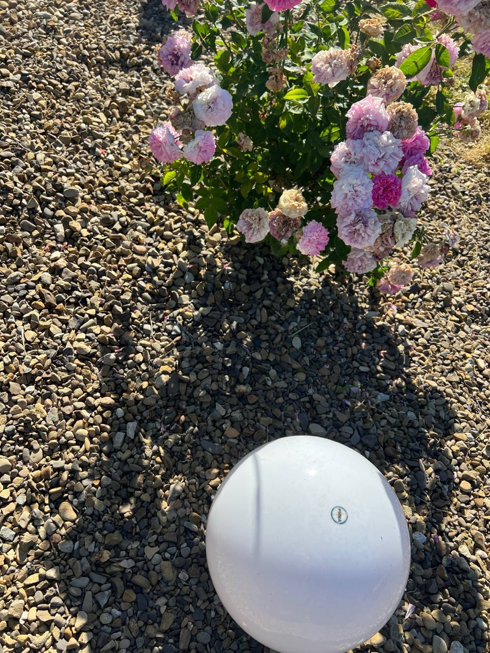 – Ірино, це моя сестра та мої племінники. Вибач, але я не можу їм відмовити, – м’яко почав говорити чоловік. – Та вони лише на тиждень приїжджають