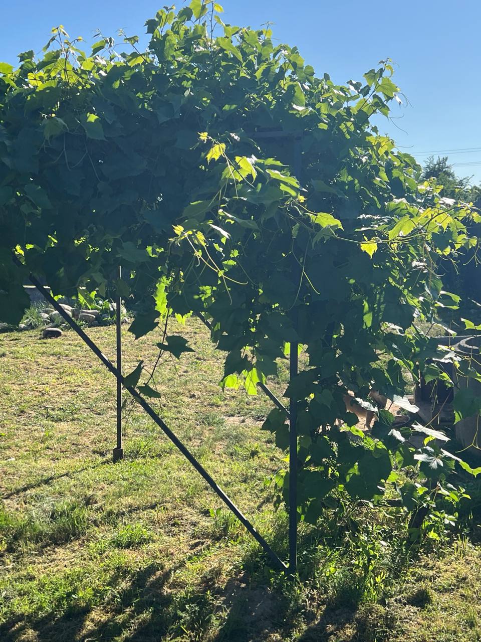 – Вибачте, але ні, іншим разом, мене Марина чекає, – Мирослав вкотре відмовився йти в кафе. – Дружина його кличе. А з друзями піти кудись посидіти? – друзі не розуміли, чому Мирослав так поспішає додому. Але одного разу Тарас потрапив в дім Мирослава, і зрозумів, чому все саме так відбувається