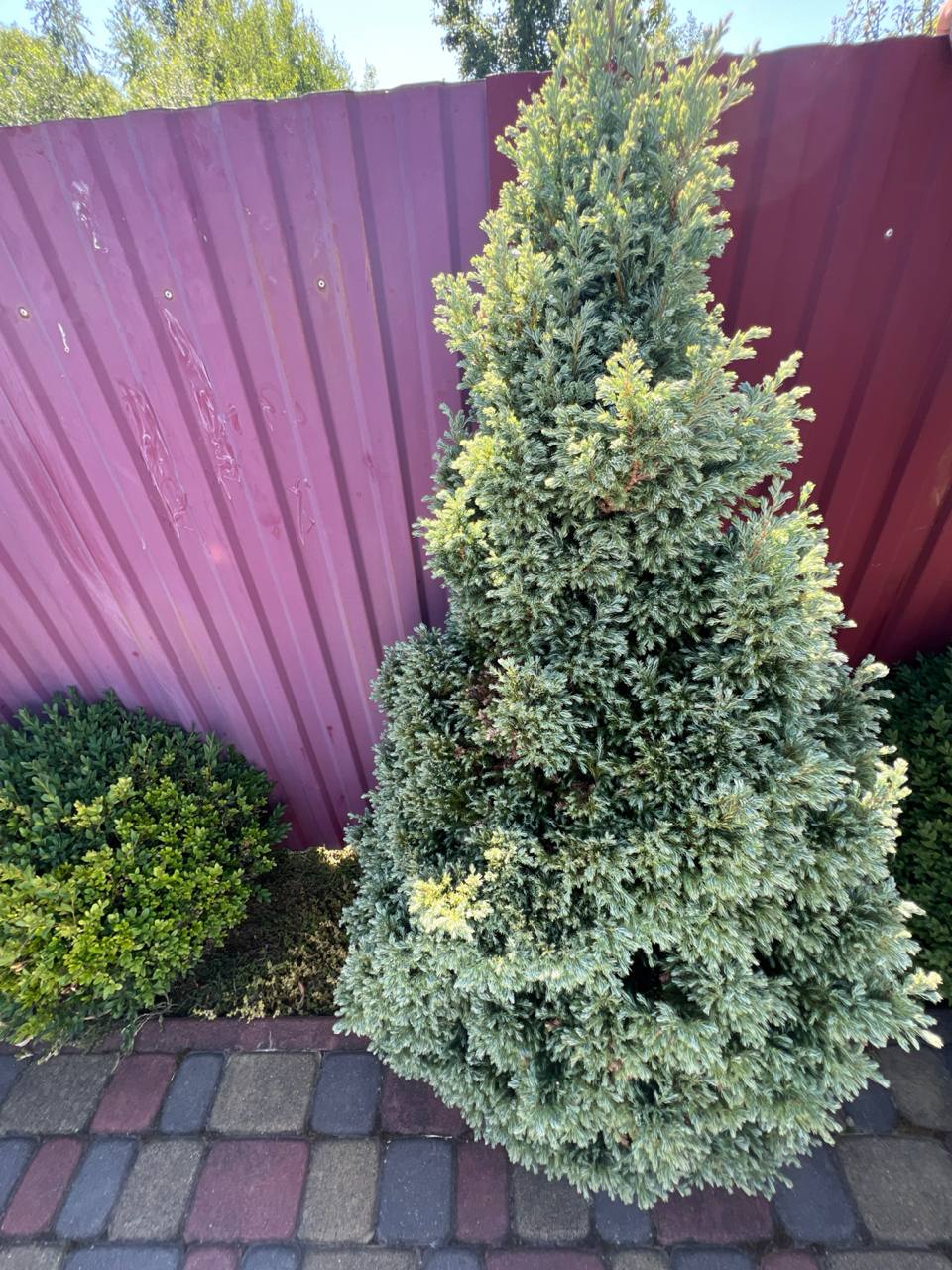 – Я з тобою, – сказав він. – До кінця. Що б це не було. Просто скажи, що тобі потрібно. І я зроблю. Я на все готовий