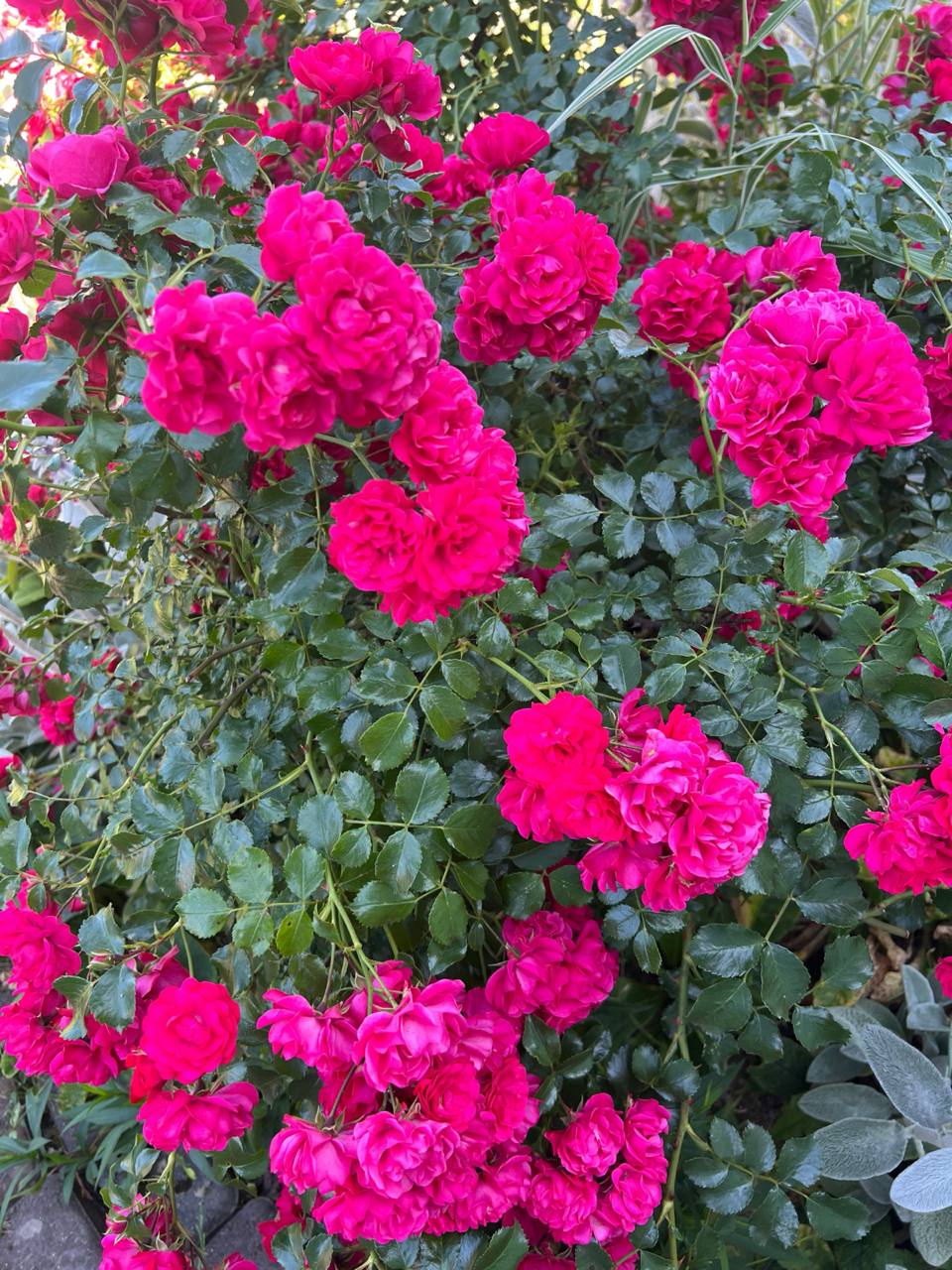 Робіть те, що вас тішить! Будьте з тими, з ким вам тепло…