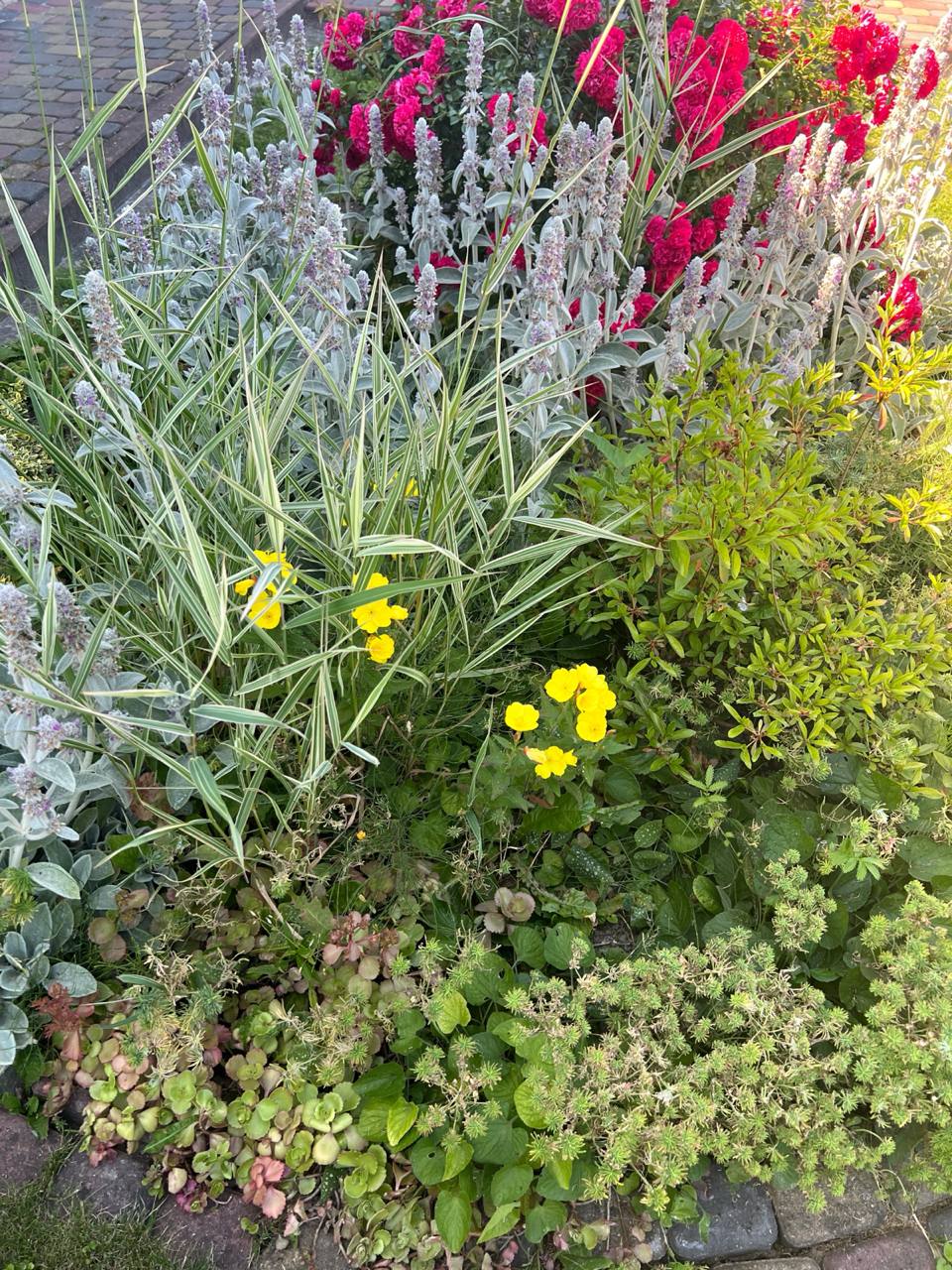 Ти віддав квартиру батькам? – її голос став холодним. – Тоді й іпотеку нехай вони платять