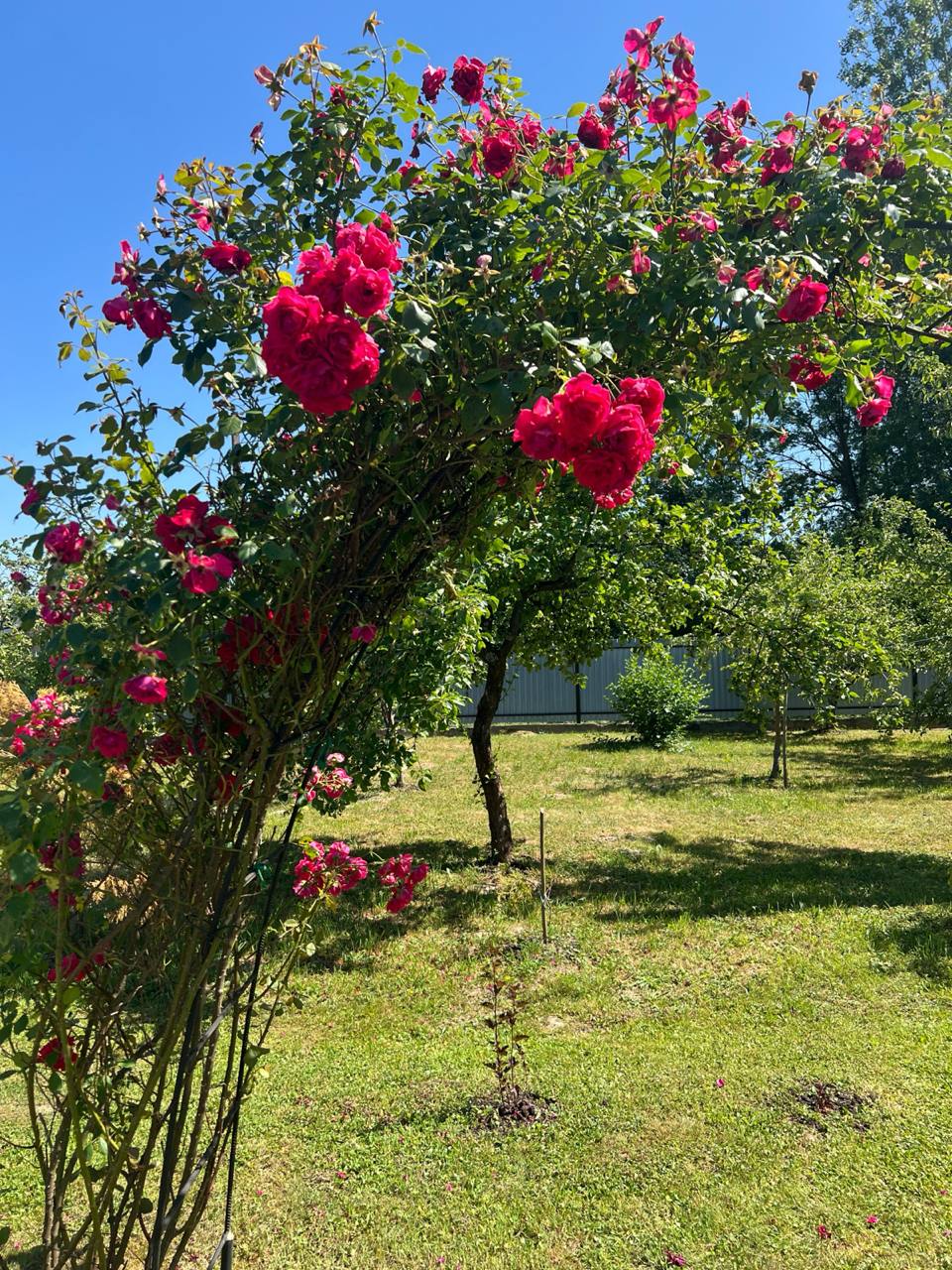 – Перше враження взагалі по-різному можна справити