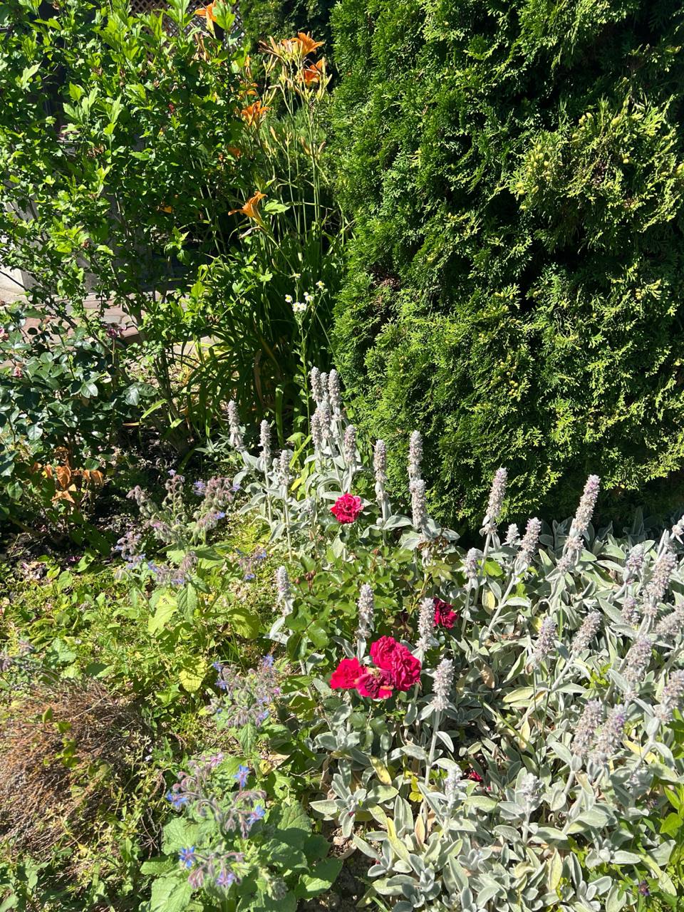 – Дочекаєшся, Юліє! Обов’язково дочекаєшся…