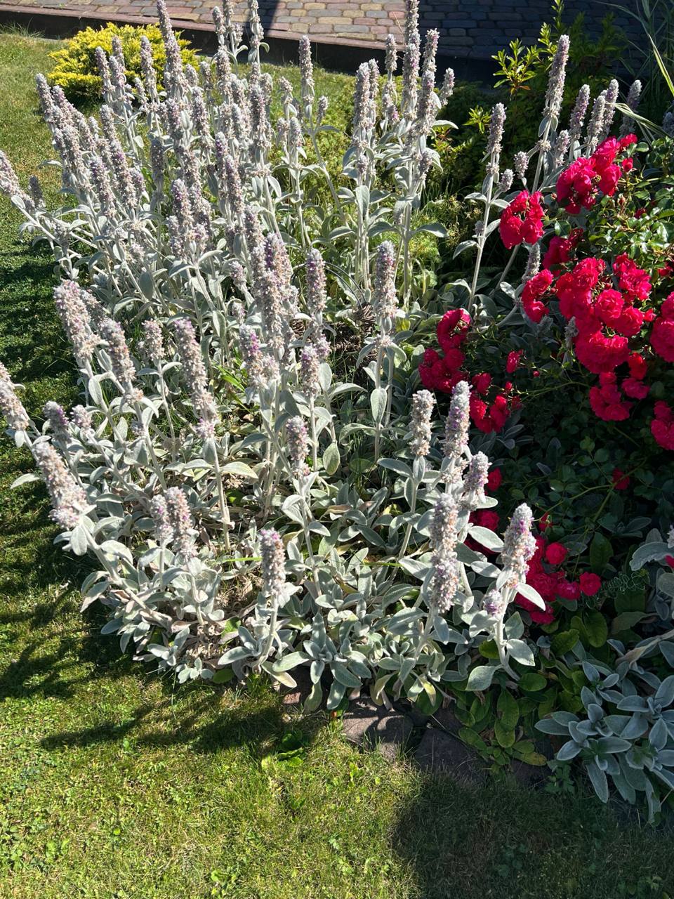 – Що ж у вас дитина одна вдома, без нагляду? Раз батько непутящий, візьміть хлопчика до себе