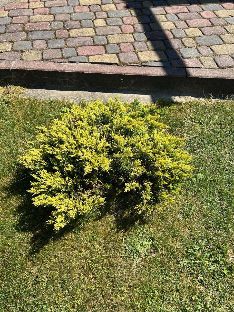 — Якщо тобі треба – залишай дитину. Я від своїх прав на дитину вирішив відмовитися, – сказав він одного вечора. Позбавлятися вже пізно, можеш здати його куди слід, справа твоя. Ось, тут невелика сума, щоб тобі вистачило на перший час. Вважай це моїм подарунком на нашу річницю