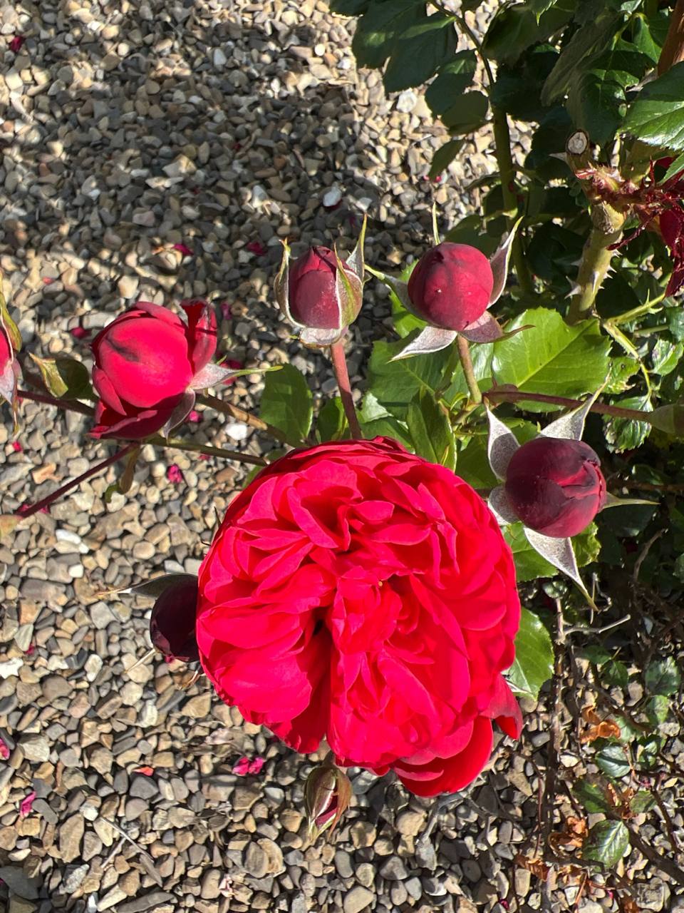 – Навіщо ти взагалі витрачаєш гроші на чужу людину