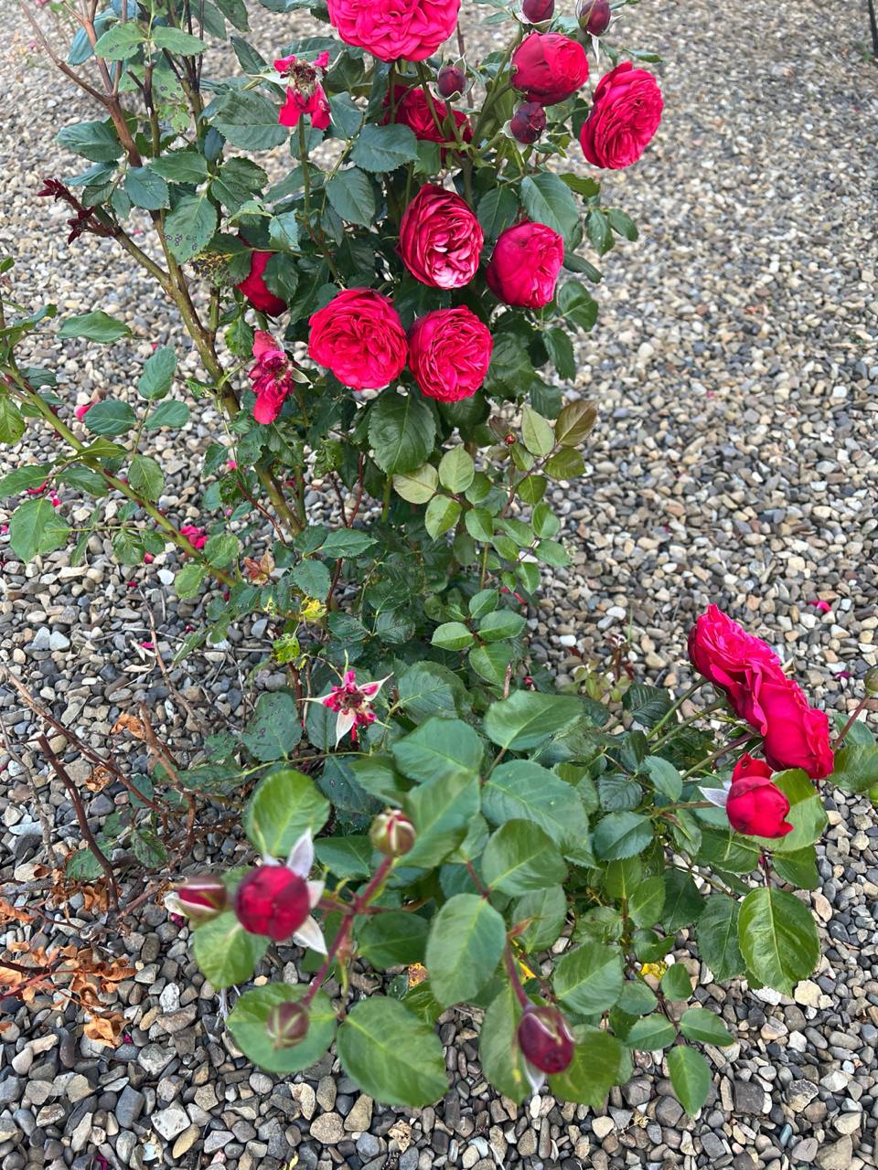 — Ну ти й жаднюга, премію отримала й ані слова не сказала!