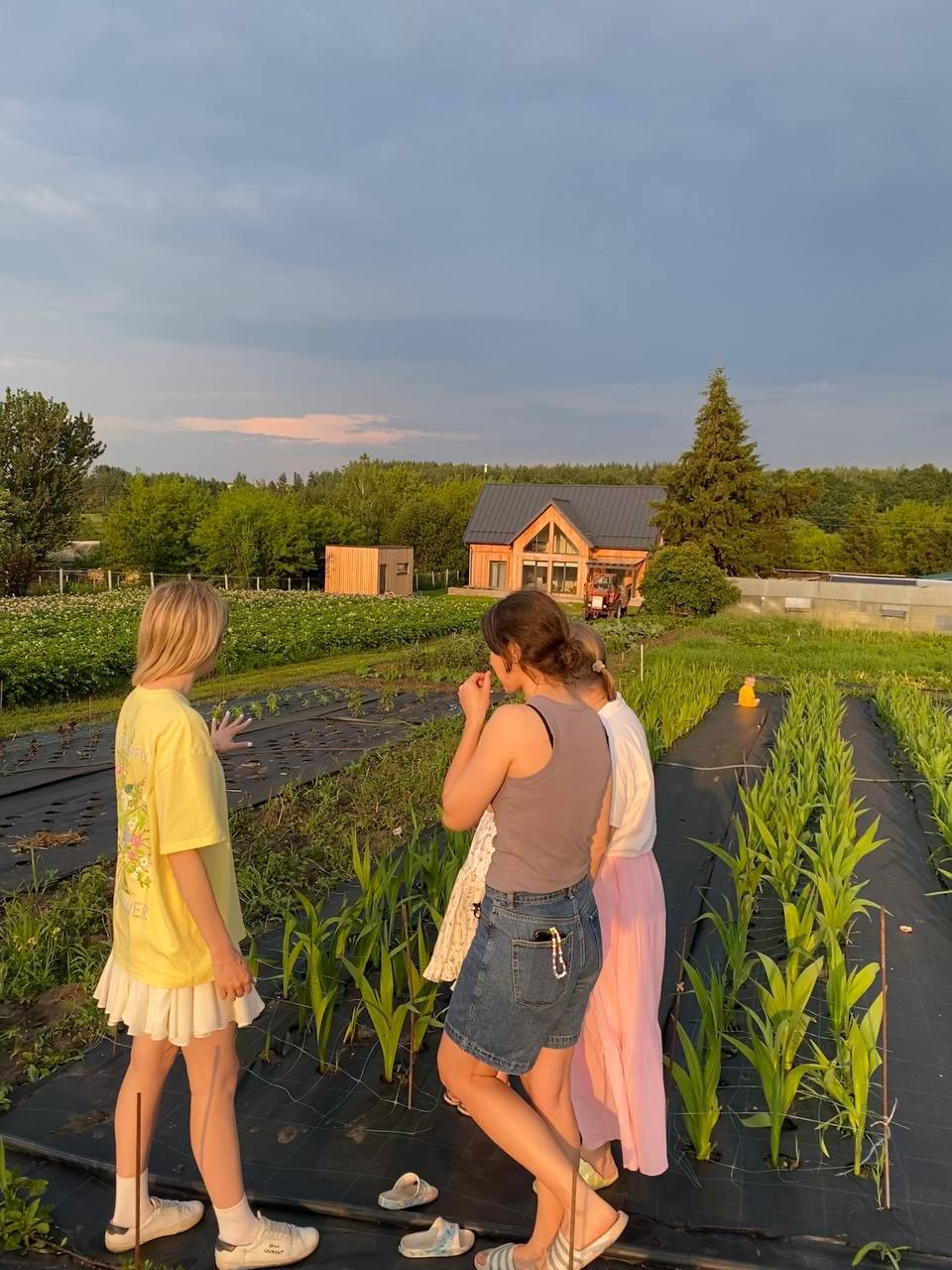 – Може, залишишся, Костенько? – прошепотіла вона крізь сльози, – вже як я без тебе буду