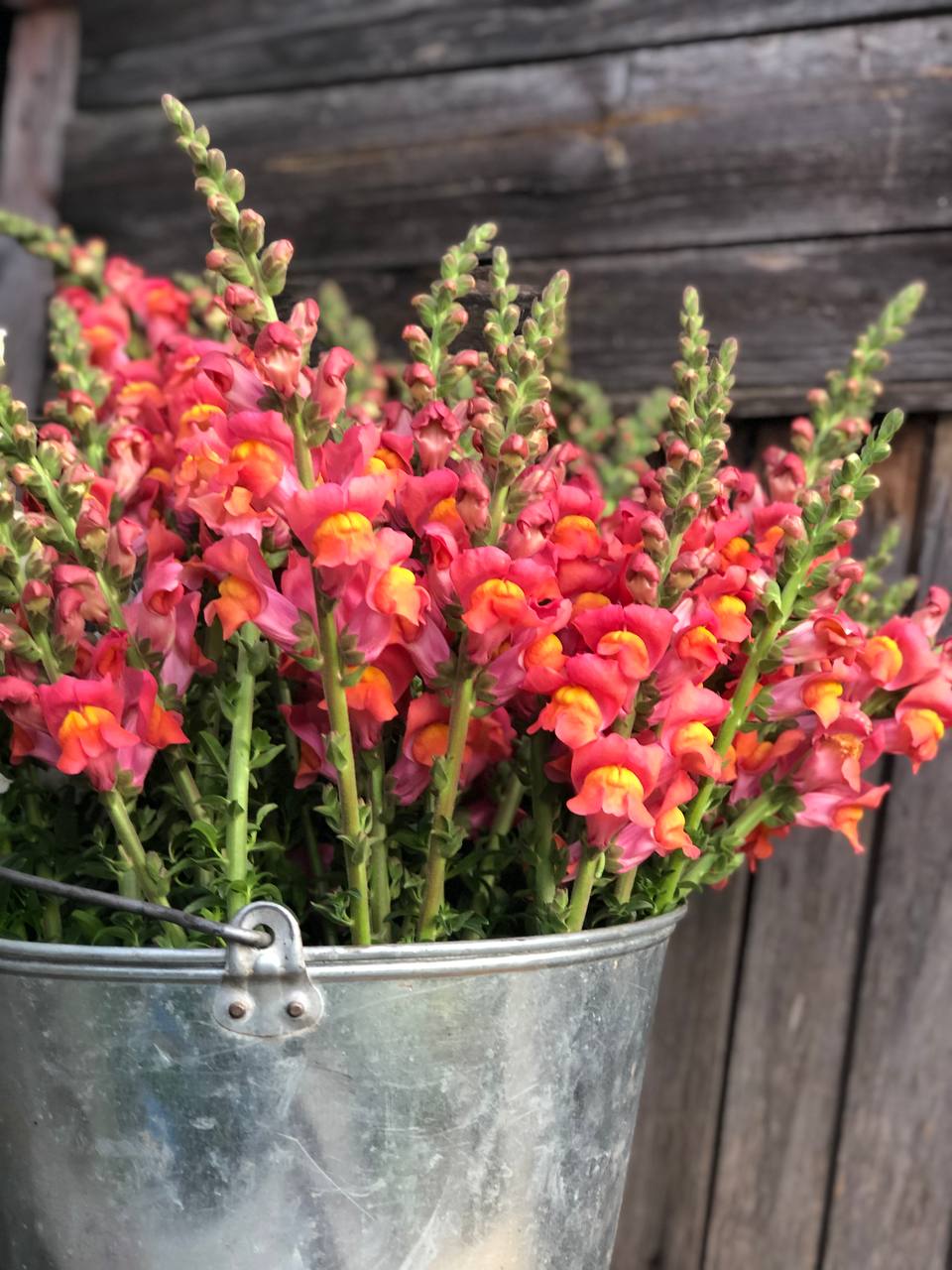 Вона стояла перед ним, стиснувши кулаки. Повітря в кімнаті наче наповнювалось пекельним невидимим димом. Гліб дивився на неї з подивом, немов вперше бачив її такою – злою, рішучою, не готовою поступатися. Його обличчя почало повільно червоніти. Він явно не очікував такої реакції через, як він вважав, дрібницю. Допомога сестрі була для нього аксіомою, що не потребує обговорення, навіть з дружиною.