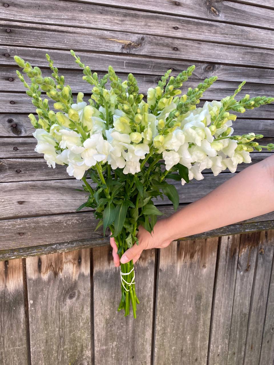 Оксано, я б на твоєму місці не йшла в тій сукні, вона тебе повнить. Але то таке, тобі, може, й байдуже, – кинула з удаваною турботою Наталка, поправляючи свою ідеально підібрану до фігури сукню. Оксана звично всміхнулася, хоча їй було неприємно. Вже який рік вона чула подібне. Наталка була її подругою ще зі школи. Оксана спершу не зважала. Думала: ну подруга трохи заздрить, але ж ми такі близькі. Потім почала помічати, що після кожної зустрічі з Наталкою їй стає сумно, якось пусто. Начебто нічого не сталося, але ніби забрали душевний спокій