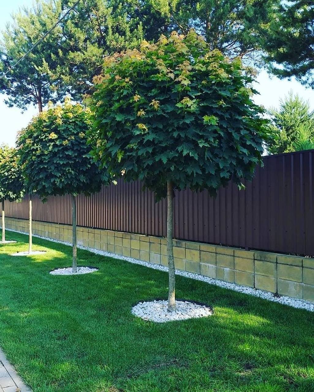 – Так, до речі, мене звати тітка Валя. Мені 42 роки. Вільного часу у мене дуже багато. Буду уважно за тобою стежити