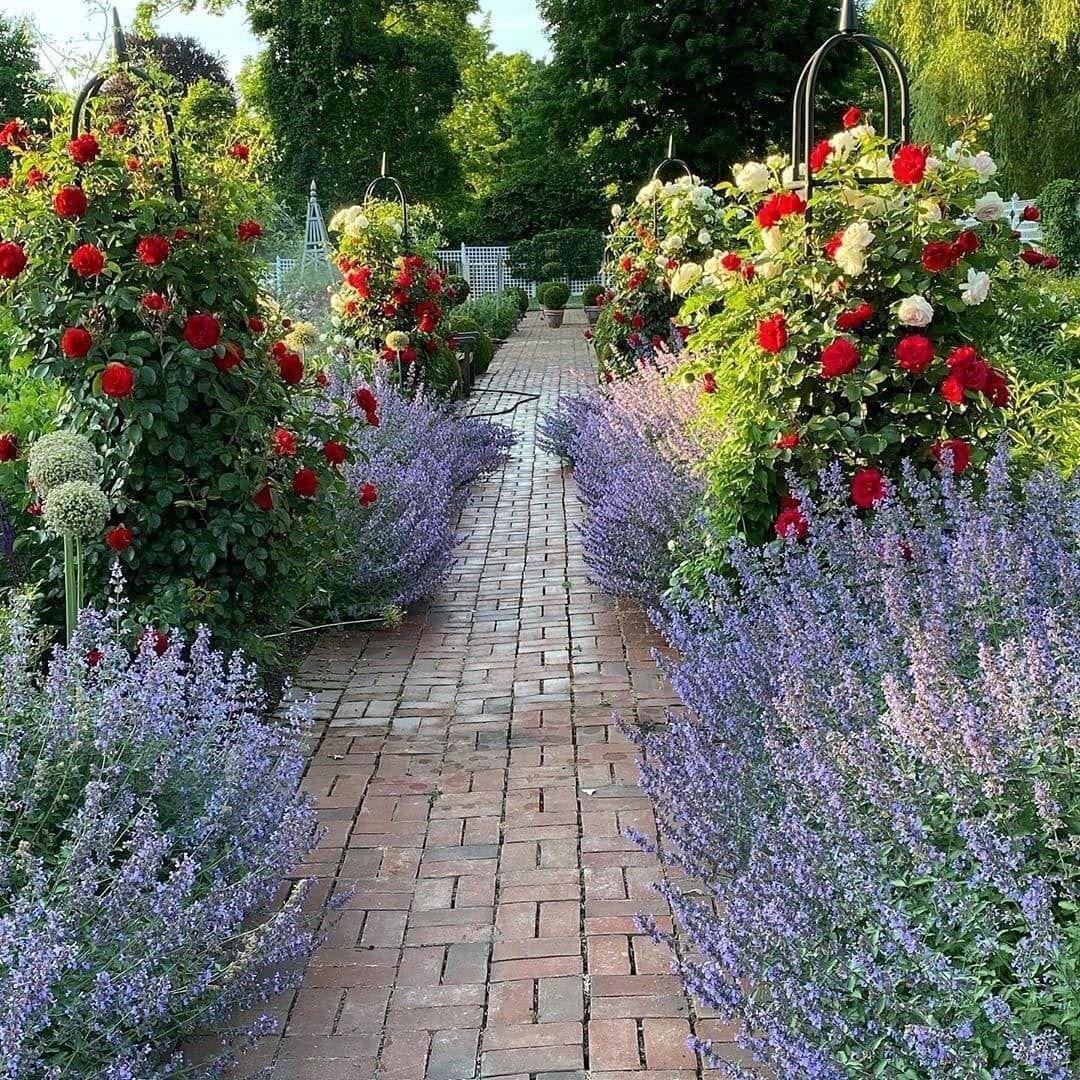 – Маріє! Куди ми прийшли? Маріє, ти все переплутала! Це зовсім не моя квартира, не моя невістка, не моя кухня і ванна! Боже, як соромно! Ходімо! Вибачте нас! Вибачте