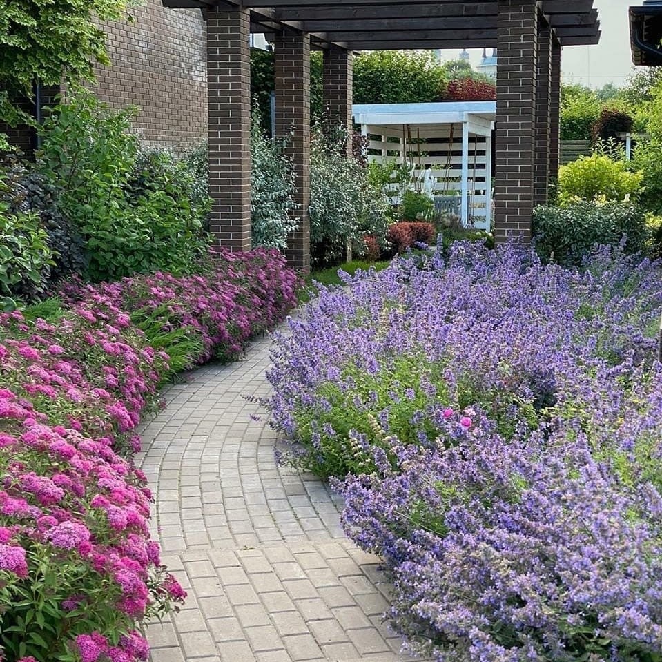 Олена продала свою хату в селі та й поїхала жити у місто до внука Тимка. Дорога була неблизькою. Олена взяла таксі до гуртожитку, де жив онук. Її аж заколисало в машині. Вона мало не задрімала, але таксист сказав: – Приїхали. – Дякую, ось тобі, – Олена простягла йому гроші. – Почекайте, давайте я з вами схожу, мало що… – сказав старенькій таксист. – Переконаюся, що все нормально. От вручу вас онукові, і все! Завідувачка гуртожитку запитала Олену: – Стривайте, а ви до кого? – А я до онука, до Тимка, тут він живе, – сказала бабуся. Завідувачка насупила брови: – А ви його бабуся? Хіба ви жива?! – Тобто як жива? Звичайно, дочко! – здивовано казала бабуся, – Олена нічого не розуміла.