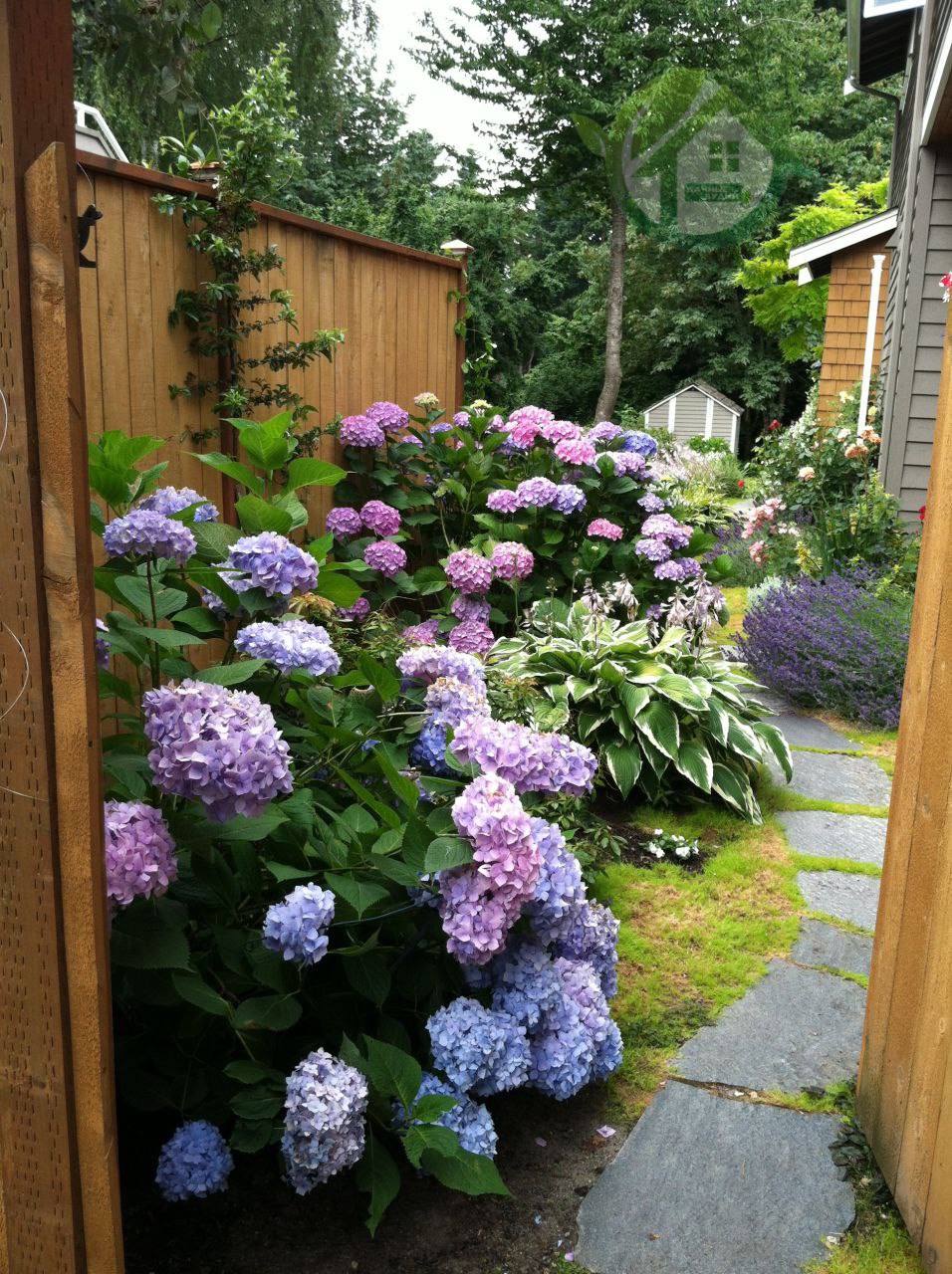 Ігор повернувся додому з роботи. – Кохана! Я вдома, – вигукнув він з коридору до дружини. Але Катя, не вийшла, як завжди, зустрічати чоловіка. Ігор зайшов на кухню, але дружини там не було. Потім зайшов у спальню. – Катя? Що ти робиш? – здивувався він, побачивши, як дружина складає його валізи. – Роблю тобі подарунок! – незворушно відповіла жінка. – Який ще подарунок? – запитав Ігор. – Свободу! Я дарую тобі свободу! – тихо відповіла Катя. – Кохана, що ти собі вже вигадала? – Ігор здивовано дивився на дружину, не розуміючи, що відбувається.