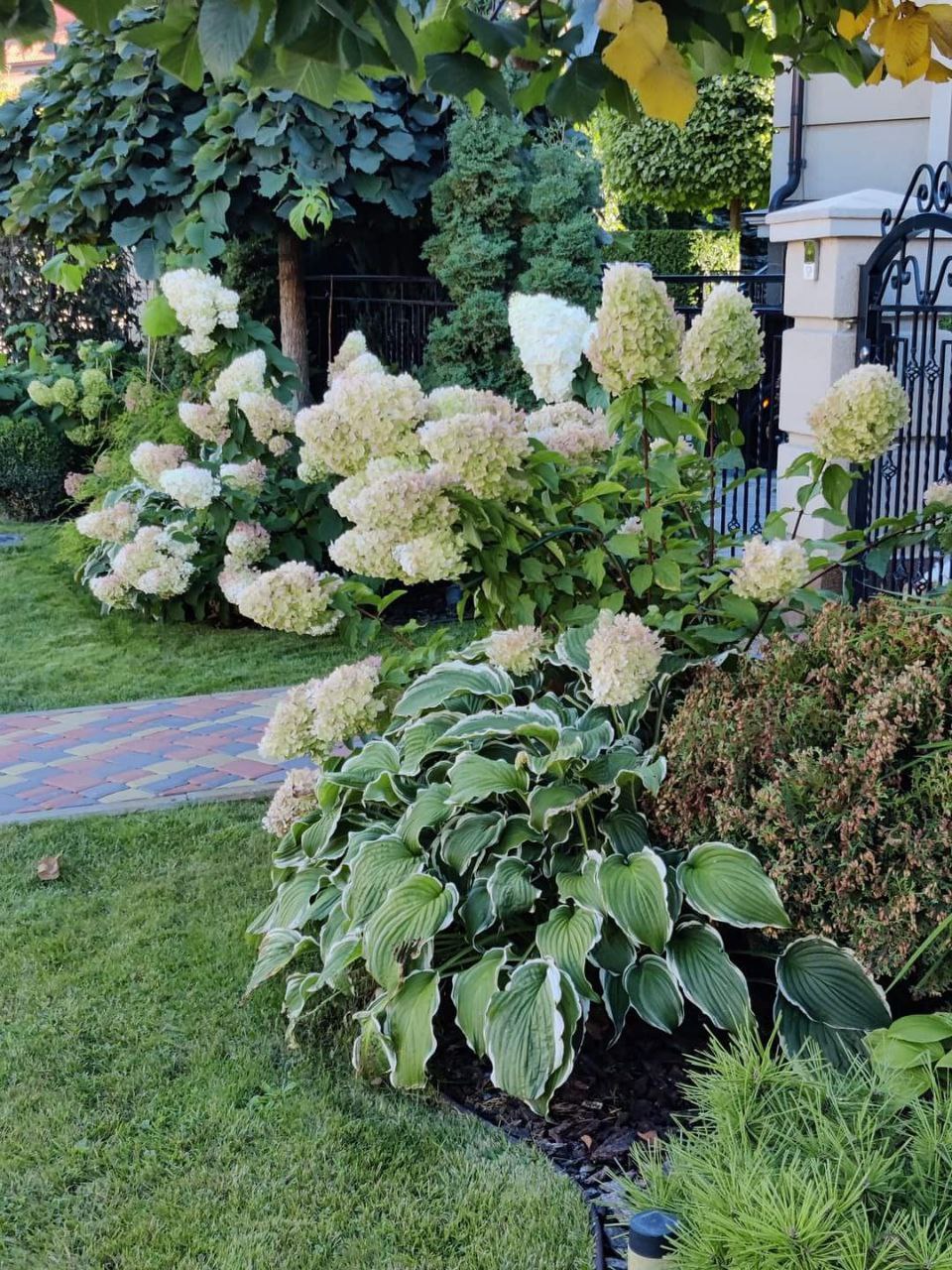 Люба поралася на городі, як раптом побачила, що на подвір’я хтось зайшов. Жінка пішла зустрічати гостю. – Настя?! Ти чому не попередила, що приїдеш? – запитала Люба, побачивши, що приїхала донька. – Вирішила сюрприз зробити, – усміхнулася Настя. – Мамо, я виходжу заміж! – Боже, радість яка! – зраділа Люба. – Це ж потрібно готуватися! А де весілля буде? У ресторані, мабуть? Мені плаття купити треба гарне. – Так, у ресторані. А плаття… Мамо… Я не хочу, щоб ти приходила на весілля! – несподівано сказала Настя. – В сенсі не хочу? Чому? – Люба здивовано дивилася на доньку, не розуміючи, що відбувається.