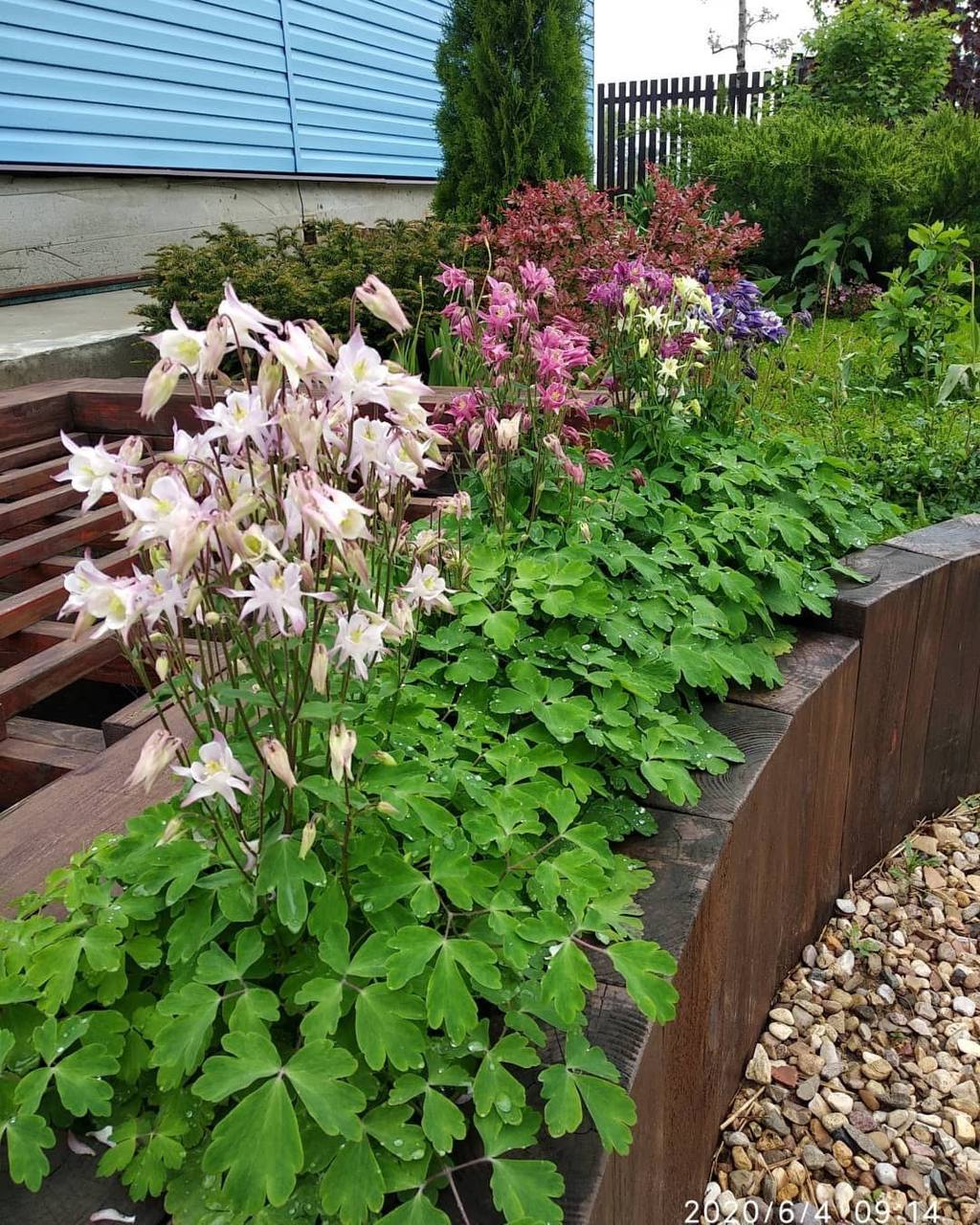 Наталка й Сашко обоє важко працювали. І от, одного разу вони нарешті купили квартиру! Батьків Сашка і всю рідню вони запросили на новосілля. Квартира була велика, аж чотири кімнати – просторо! – Вас двоє, навіщо так багато місця?! – раптом запитала мати Сашка. – Ви ж і вдома не буваєте, весь час працюєте. – Мамо, ми тепер працюємо з дому, – сказав син. – А кімнати – це для дітей. Наталя вагітна! – І тепер весь кредит на тобі буде?! – здивувалася мати. – А чому ти думаєш, що кредит? – посміхнувся Сашко. – Ми купили квартиру без кредиту! – Звідки у вас стільки грошей?! – ахнула мати, не розуміючи про що він таке говорить.