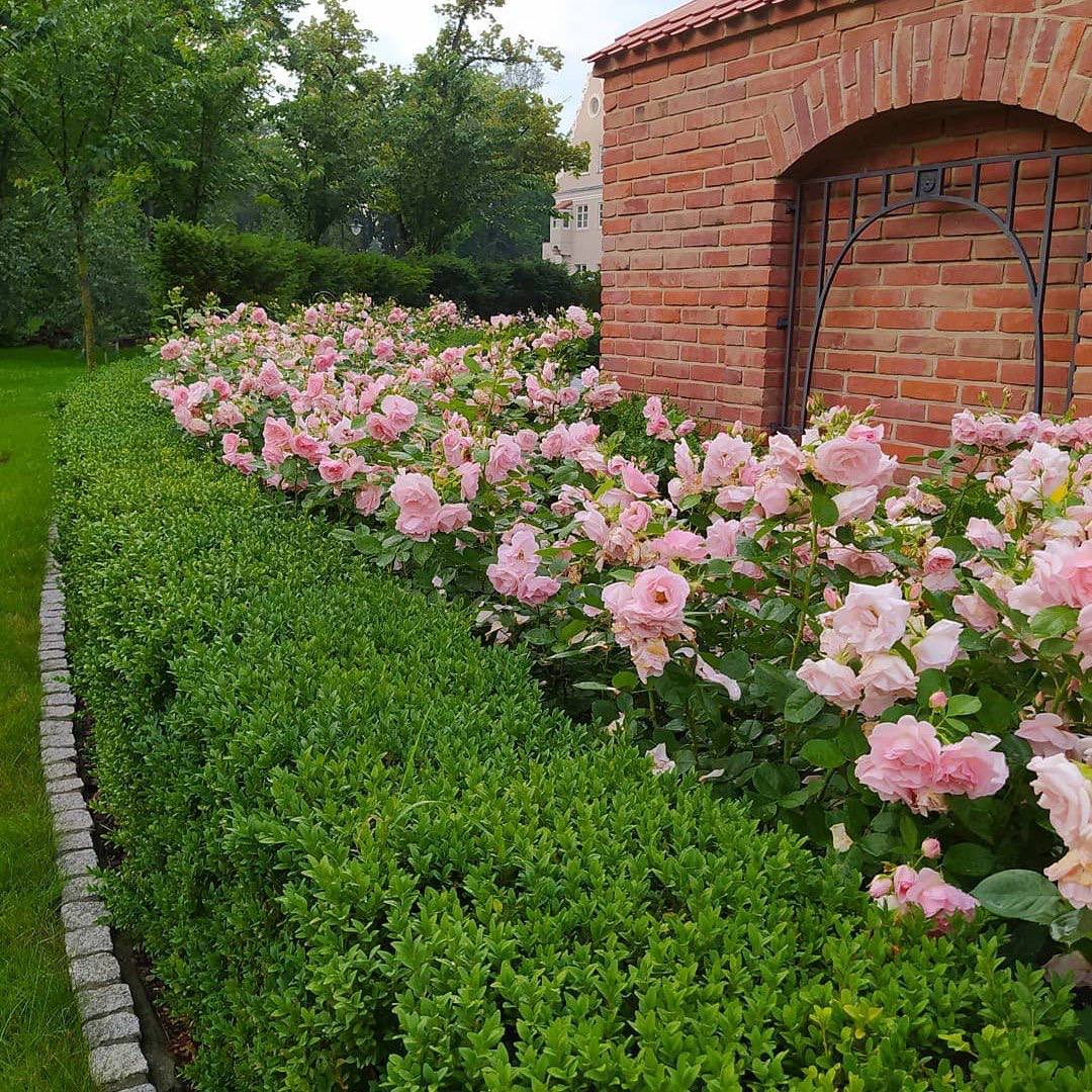 – Ось тобі моя пасія! – засміявся Максим. А потім звернувся до сестри: – Уявляєш, донька наговорила, що в мене інша тітка