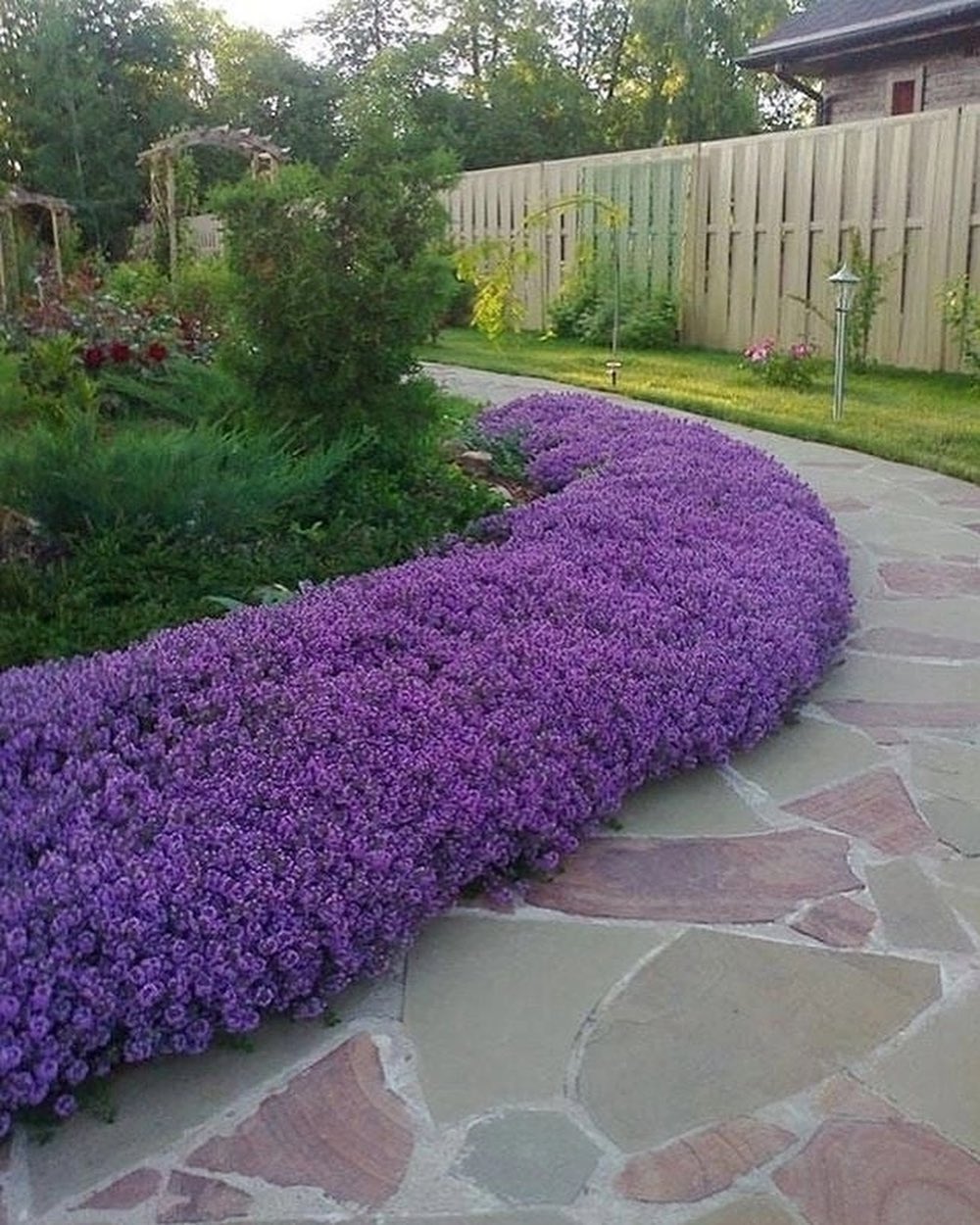 – Ми так домовилися з бабусею. Переїхати в інше місце не могли, тому що на переїзд просто не було грошей. Брехати дуже недобре, але нам довелося так зробити. Так було краще для всіх