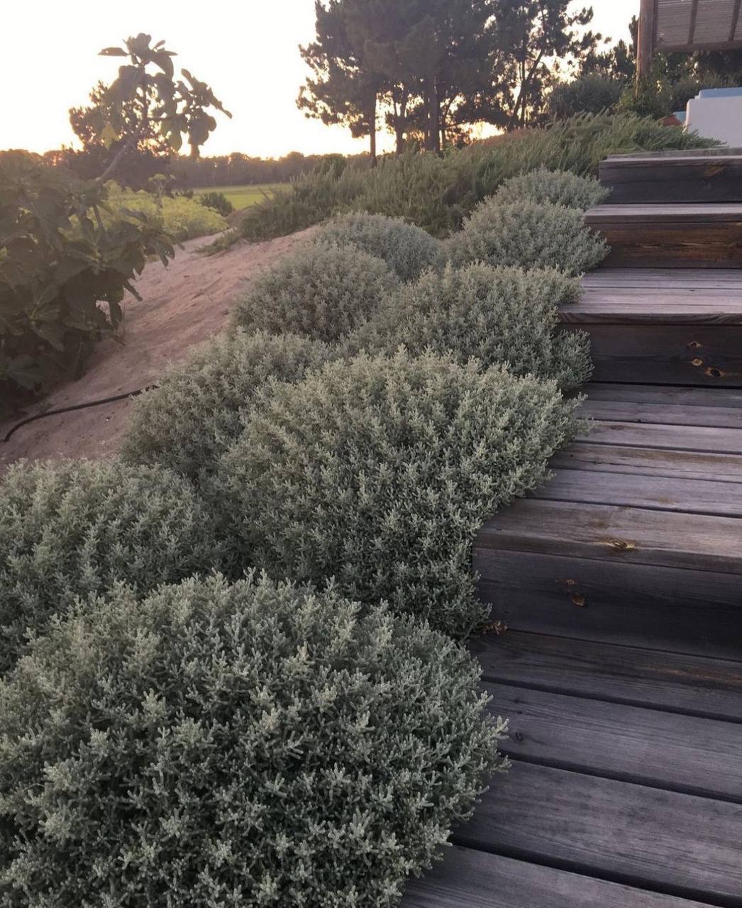 Коли грюкнули вхідні двері, Юлія дала волю почуттям. Їй було дуже нелегко стримуватися весь цей час, адже вона все ще кохала чоловіка, незважаючи ні на що