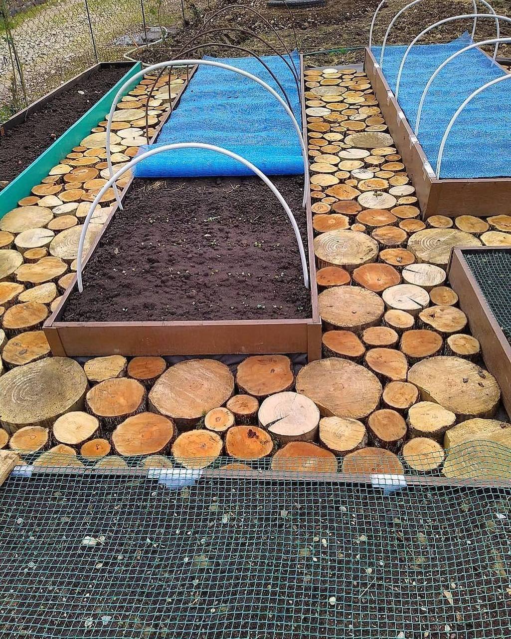 – Надія, вона страшна. Де тільки шукав таку, – тихенько сказала Ольга. – Мені байдуже, – нарізуючи тісто на однакові круглячки, відповіла Надя