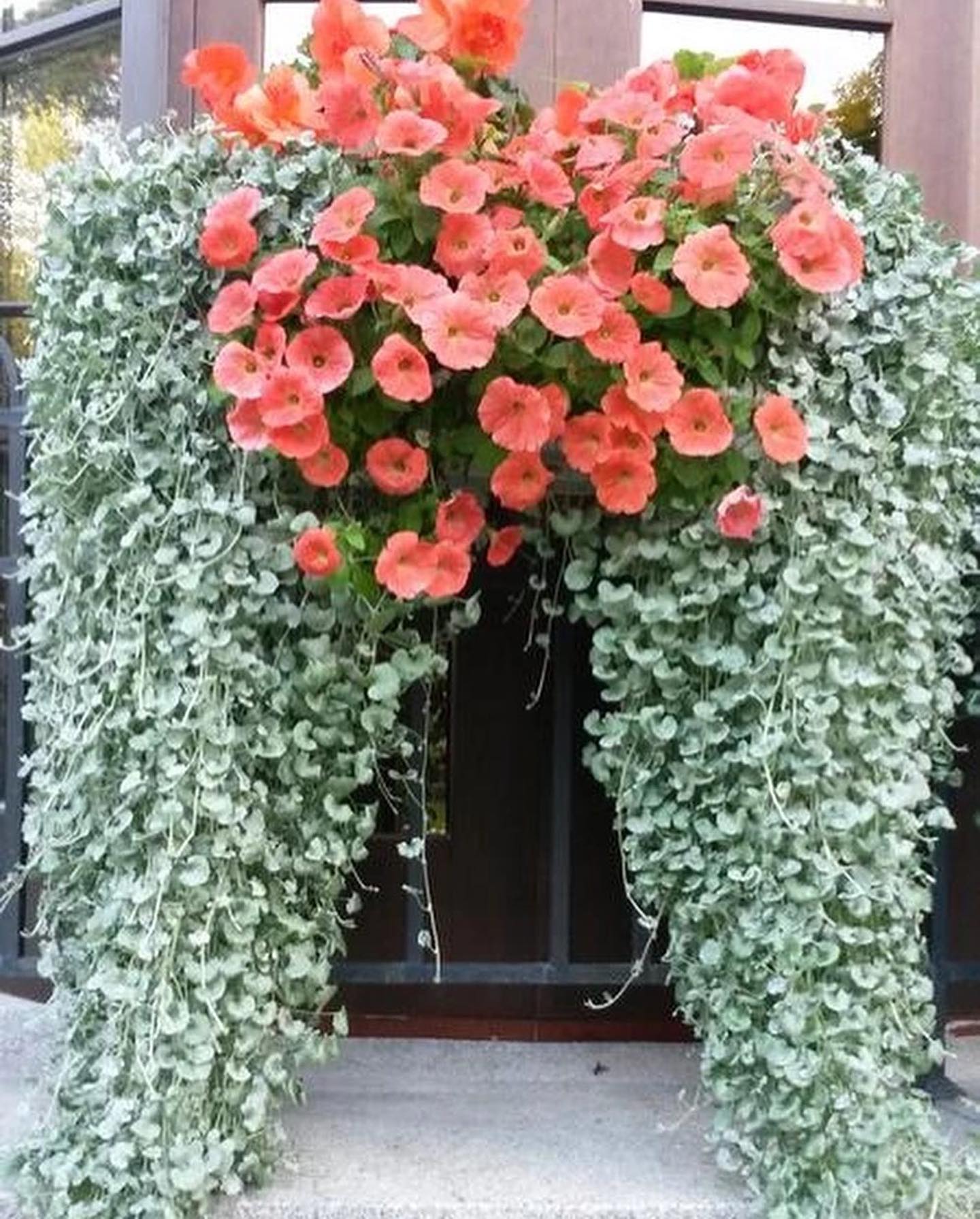 Собака не людина, але людські емоції йому не чужі. Хто вважає інакше, у того собаки просто ніколи не було