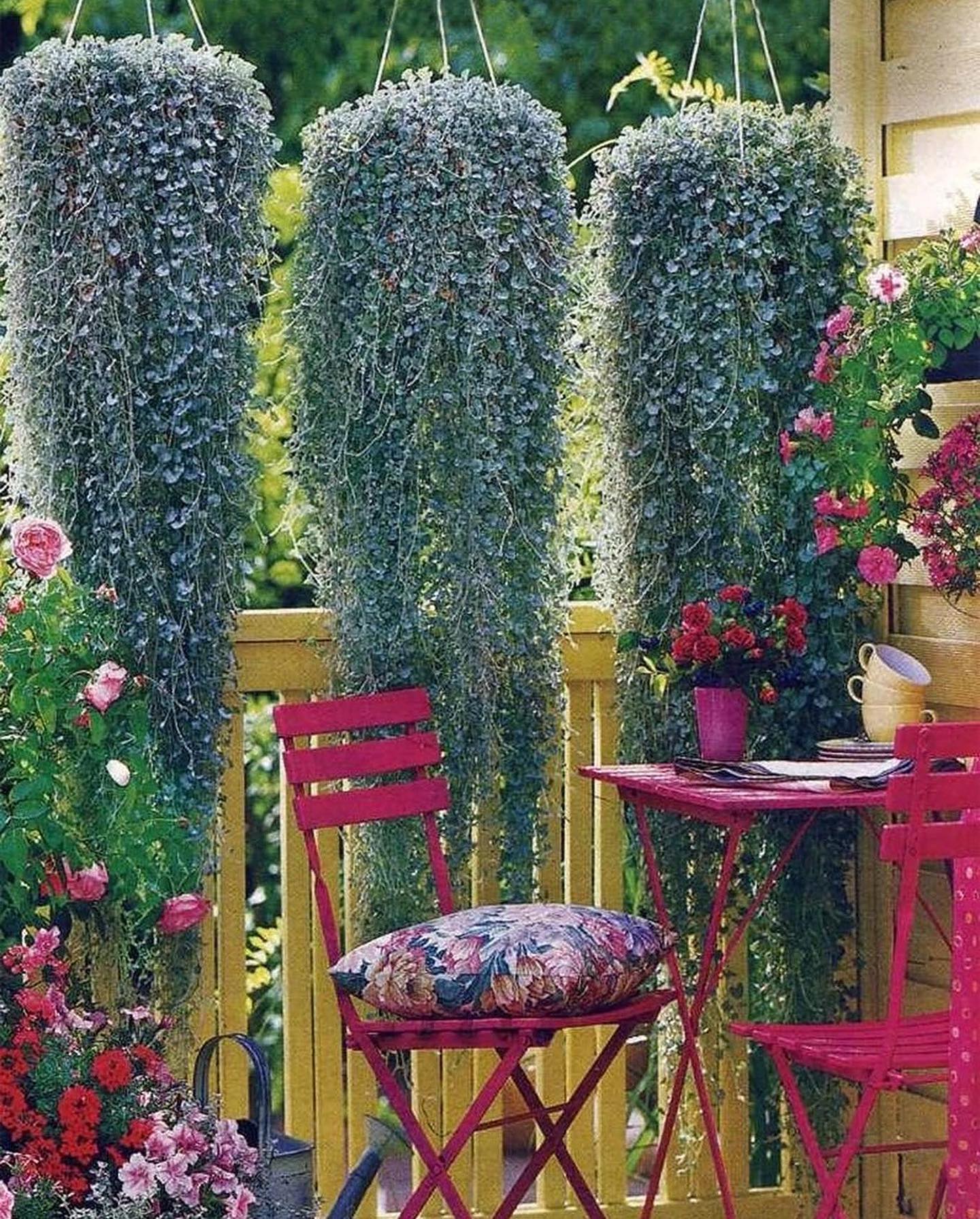 У Марії Захарівни не стало колишнього чоловіка Михайла. Вони хоч і були розлучені, але дуже добре ладнали й спілкувалися. Марія була частою гостею на могилці колишнього чоловіка. – Ось, Мишко, як ти й хотів, поховали тебе гідно, – казала вона. – Син твій постарався… А пам’ятник який великий і гарний поставив тобі! Квіти завжди у тебе є. Все як ти хотів. Не хвилюйся, я на тебе не ображаюся… Пройшло багато часу. Марія знову вирішила відвідати Михайла на цвинтарі. Ще здалеку побачила вона, що біля могилки стоїть якийсь чоловіка з сивиною. Він стояв і щось говорив… Марія придивилася й застигла від несподіванки.