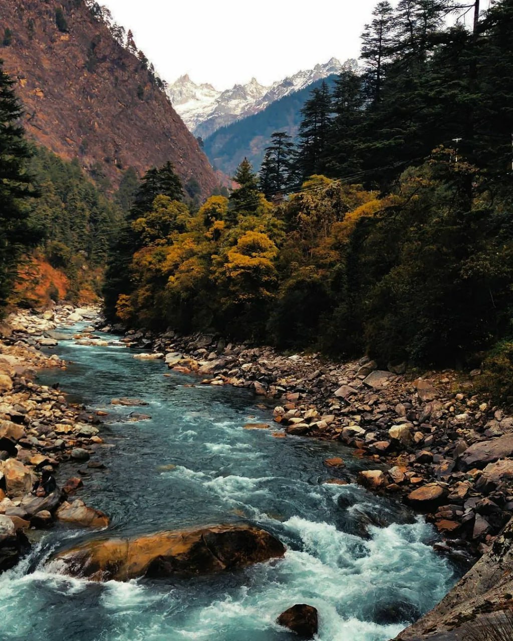 – У мене така новина! Зараз швиденько приготую вечерю, ми сядемо й відзначимо. Я навіть пляшечку ігристого купила. Дивись, – Лариса дістала з пакета ігристе і показала, не помічаючи напруженого погляду чоловік